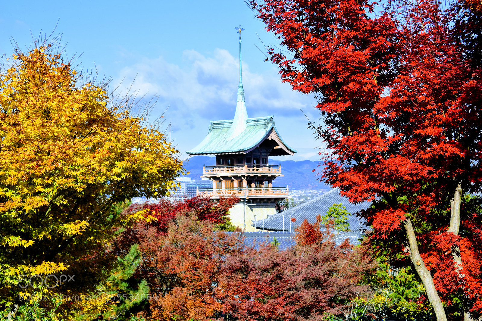 Nikon D3300 sample photo. Dsc photography