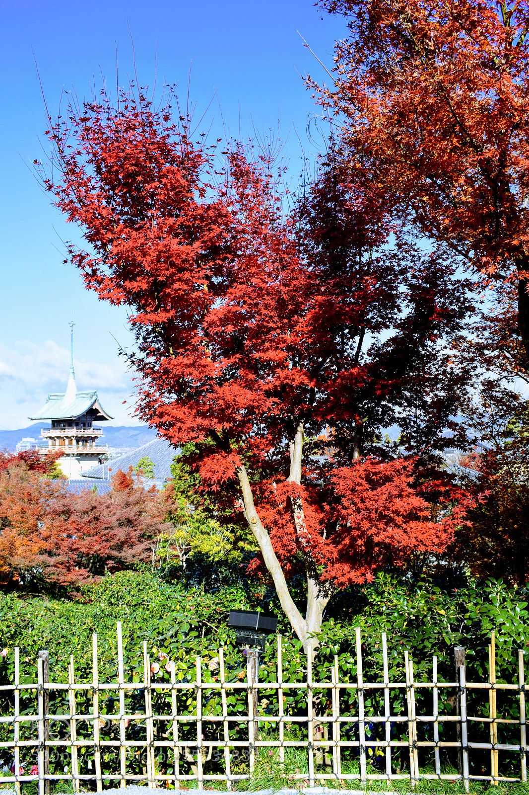 Nikon D3300 sample photo. Dsc photography