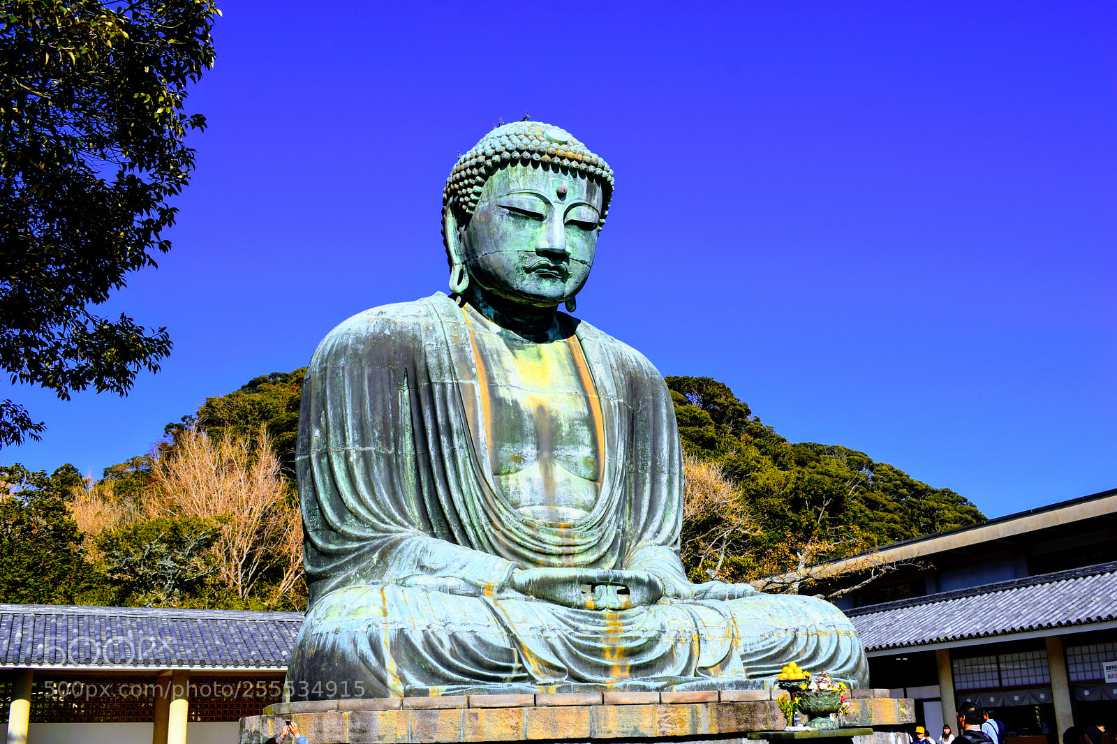 Nikon D3300 sample photo. Dsc photography