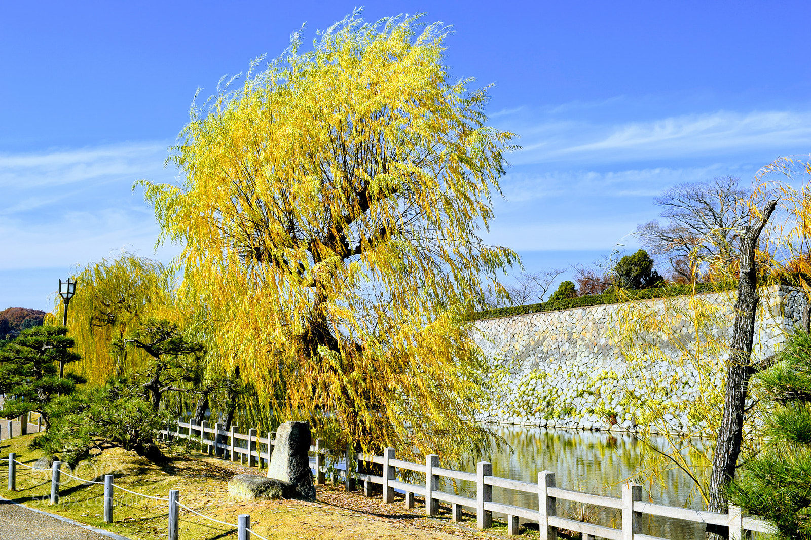 Nikon D3300 sample photo. Dsc photography