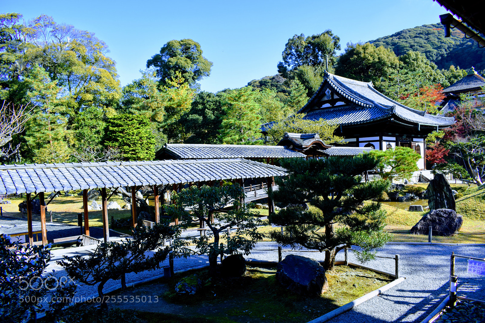 Nikon D3300 sample photo. () photography