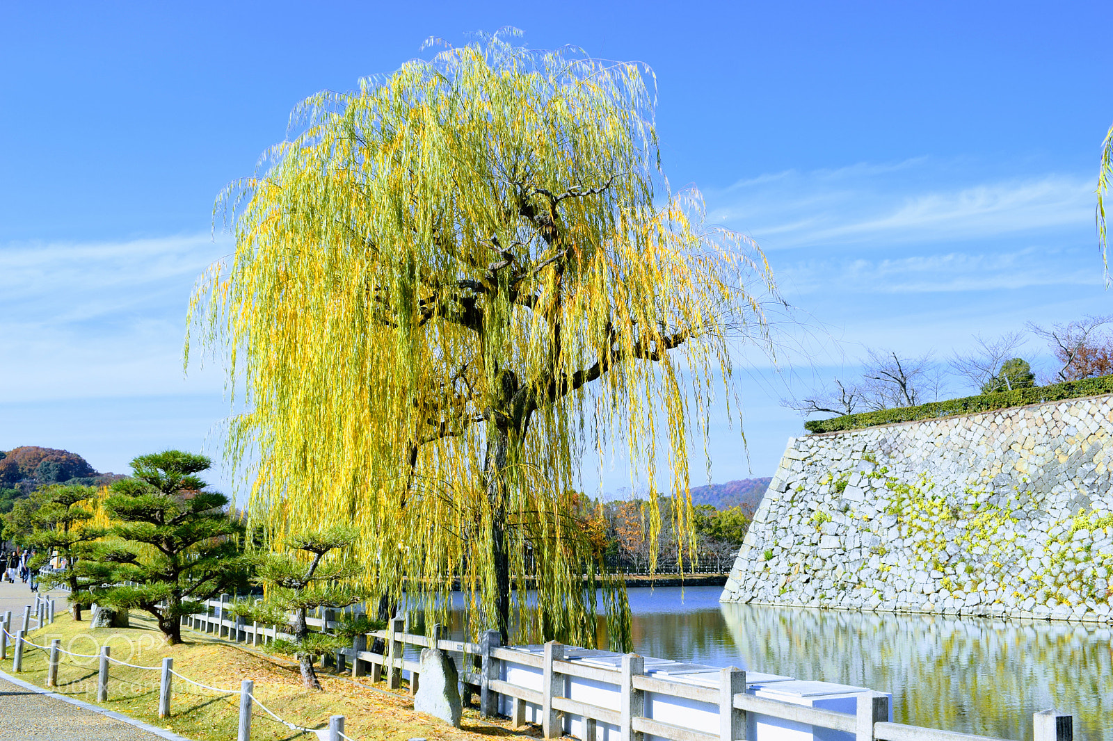 Nikon D3300 sample photo. () photography