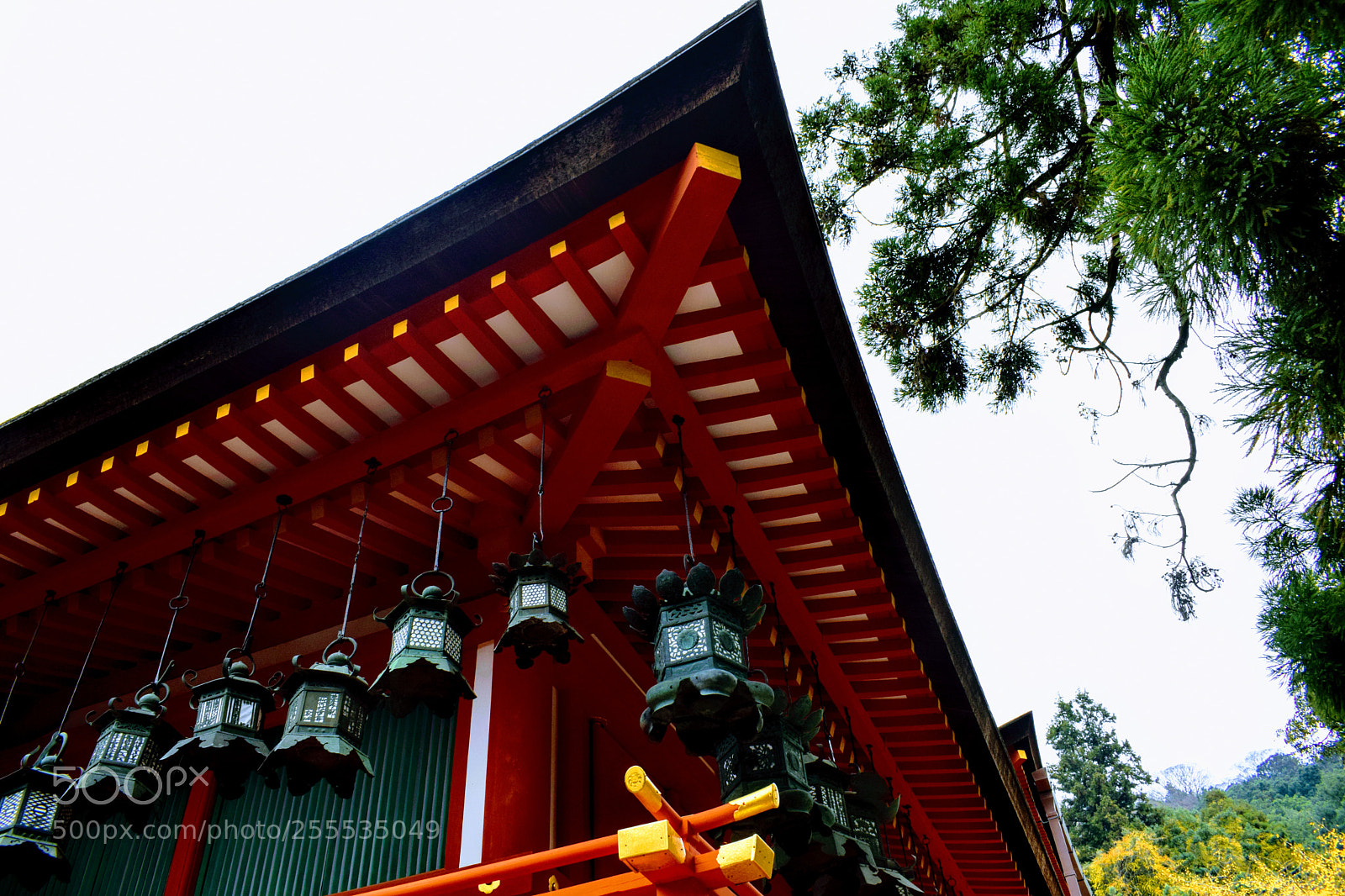 Nikon D3300 sample photo. () photography