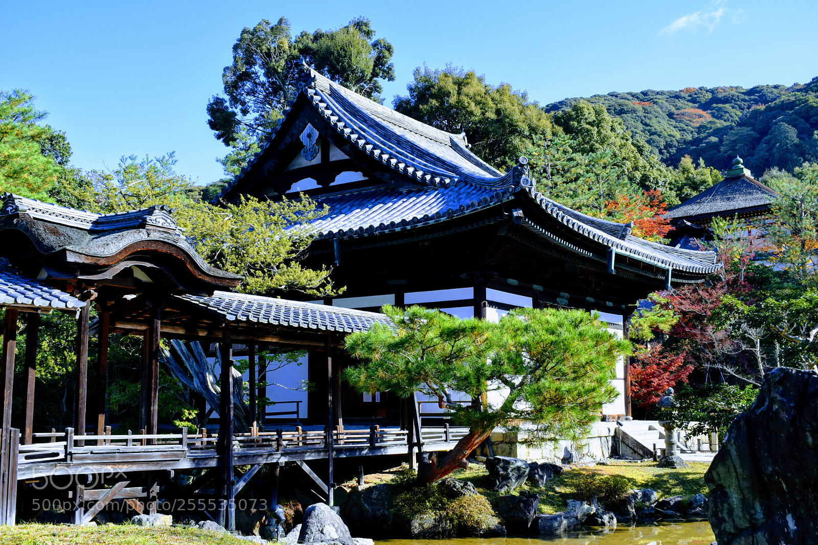Nikon D3300 sample photo. Dsc photography