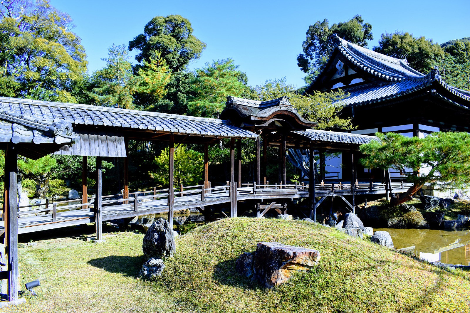 Nikon D3300 sample photo. Dsc photography