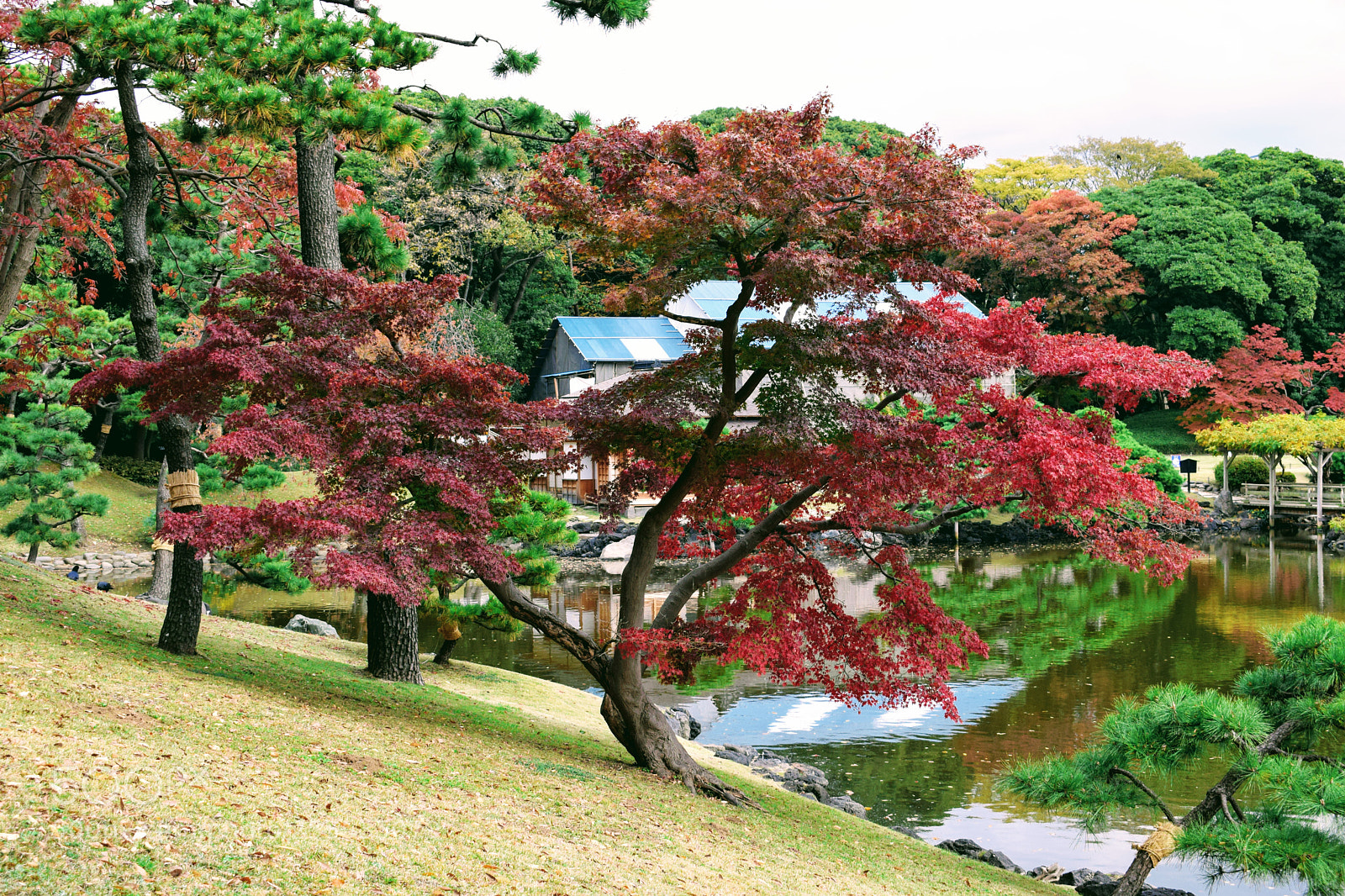 Nikon D3300 sample photo. Dsc photography