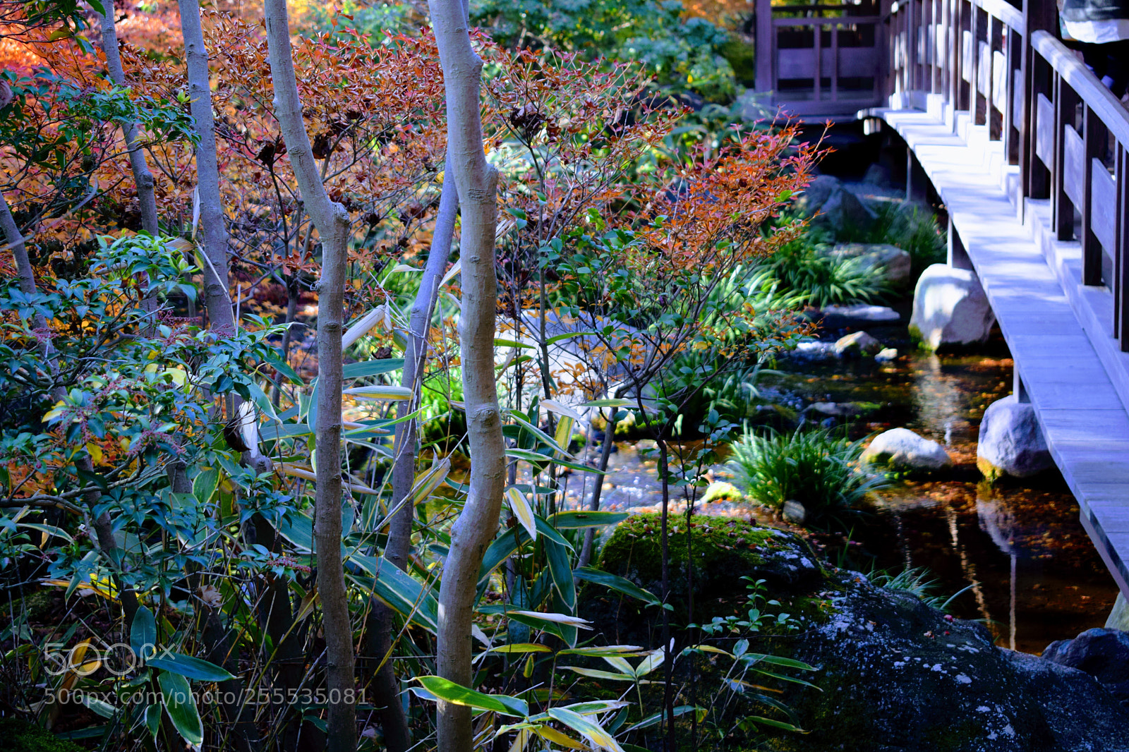Nikon D3300 sample photo. Dsc photography