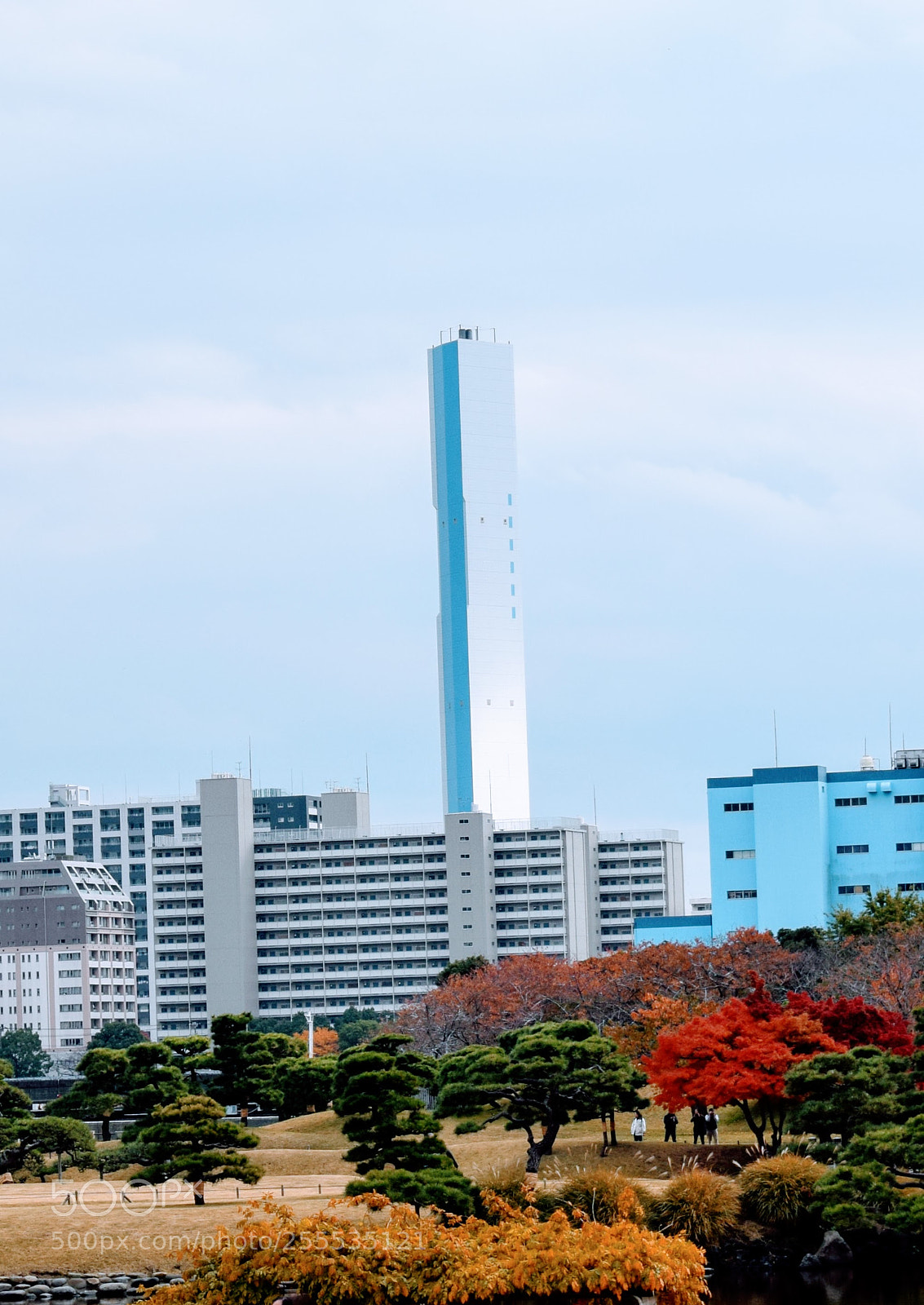 Nikon D3300 sample photo. Dsc photography