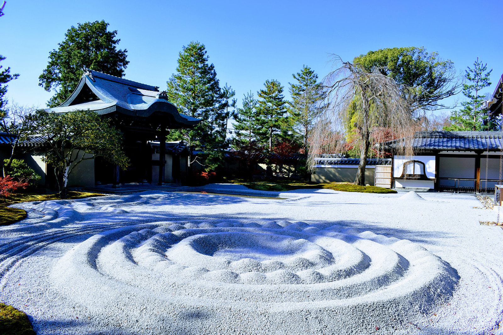 Nikon D3300 sample photo. Dsc photography