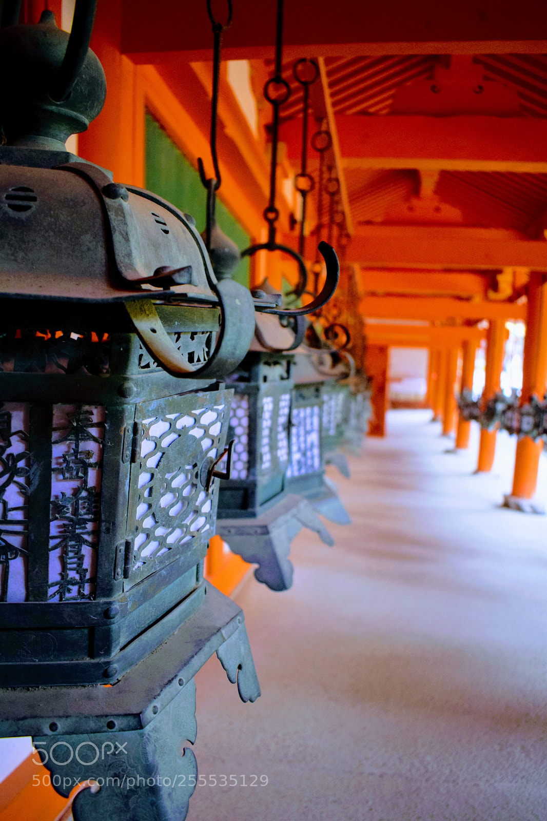 Nikon D3300 sample photo. Dsc photography