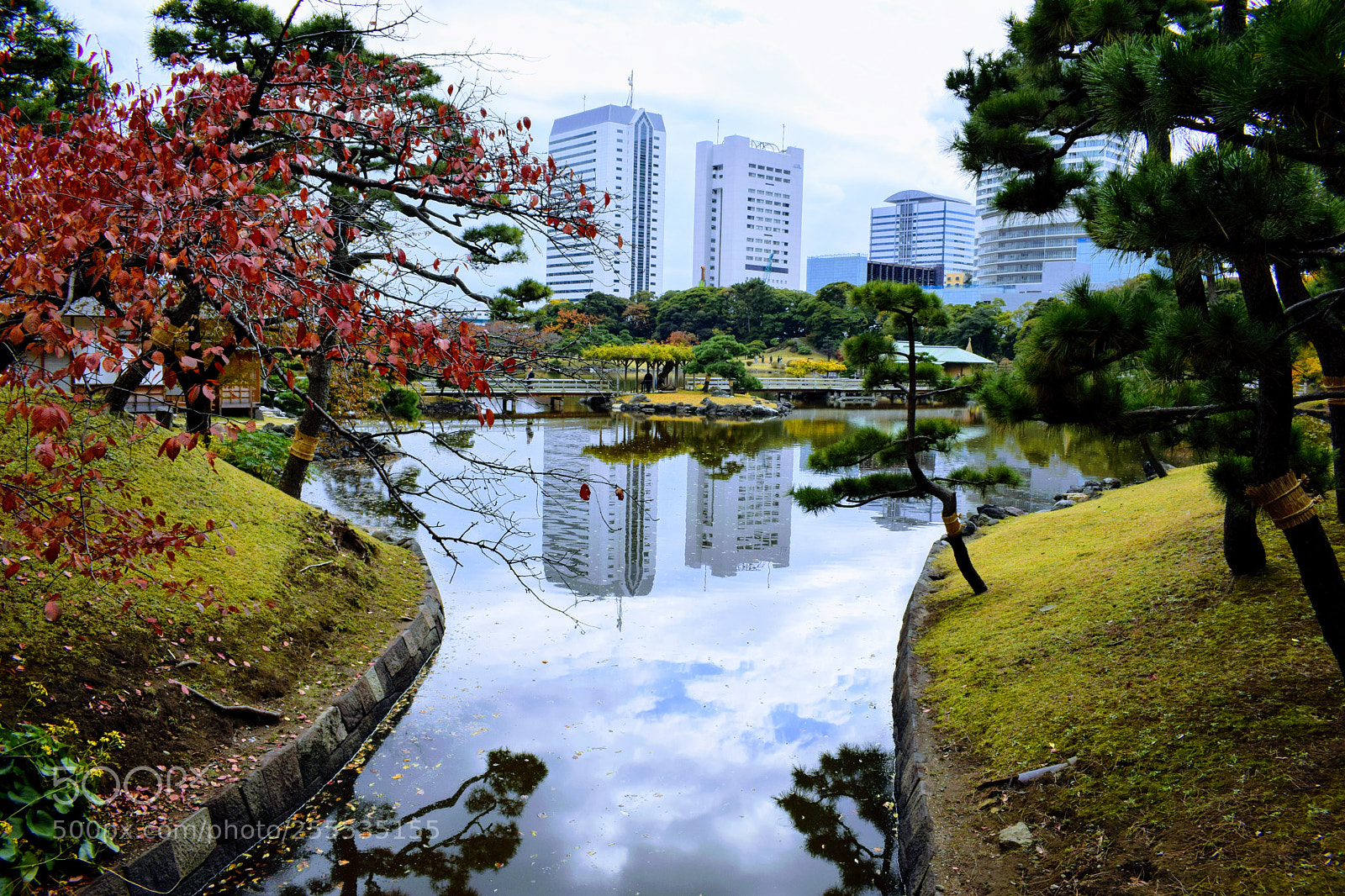 Nikon D3300 sample photo. Dsc photography