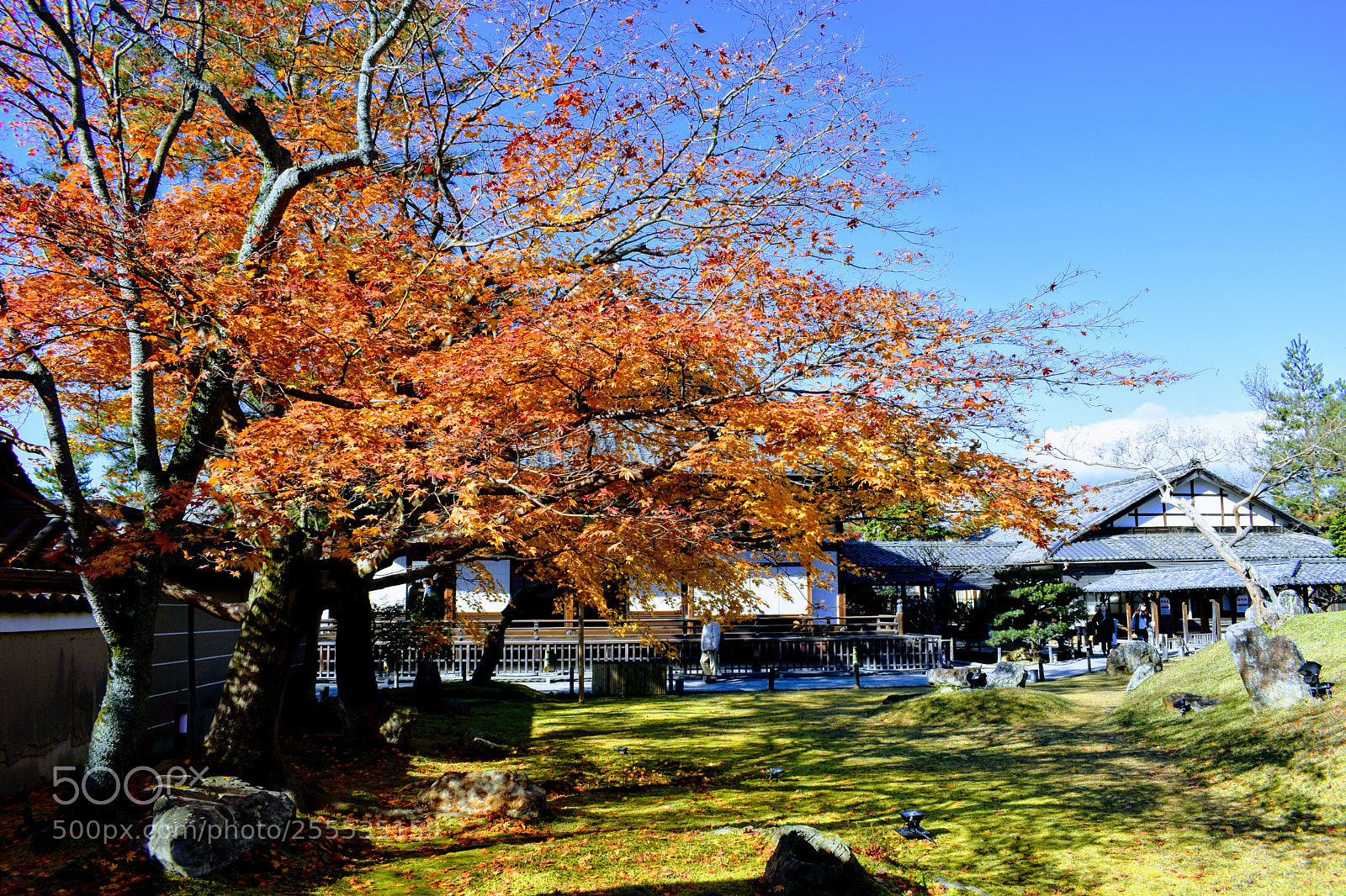Nikon D3300 sample photo. Dsc photography