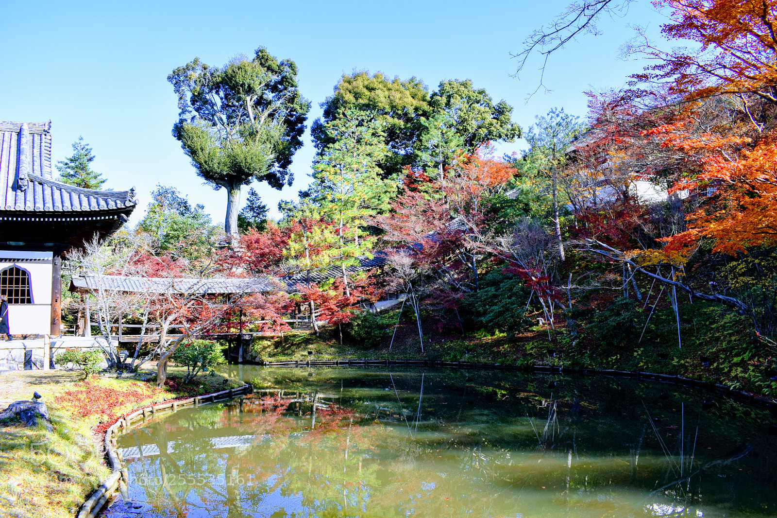 Nikon D3300 sample photo. () photography