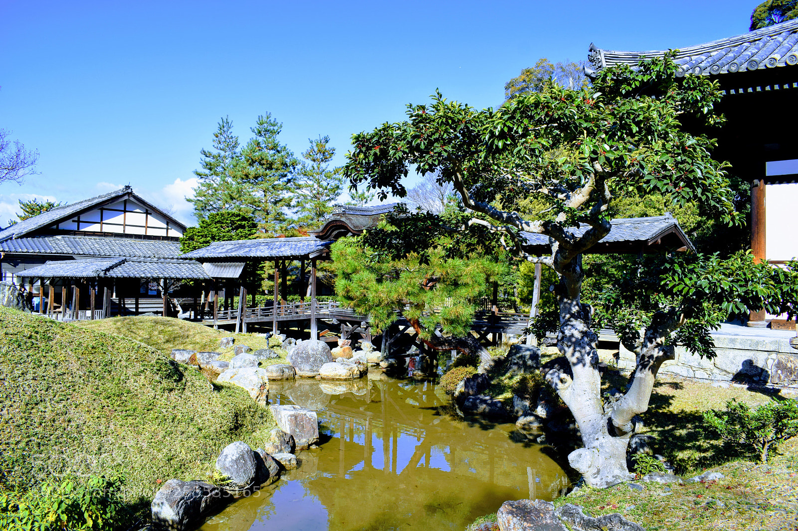 Nikon D3300 sample photo. Dsc photography