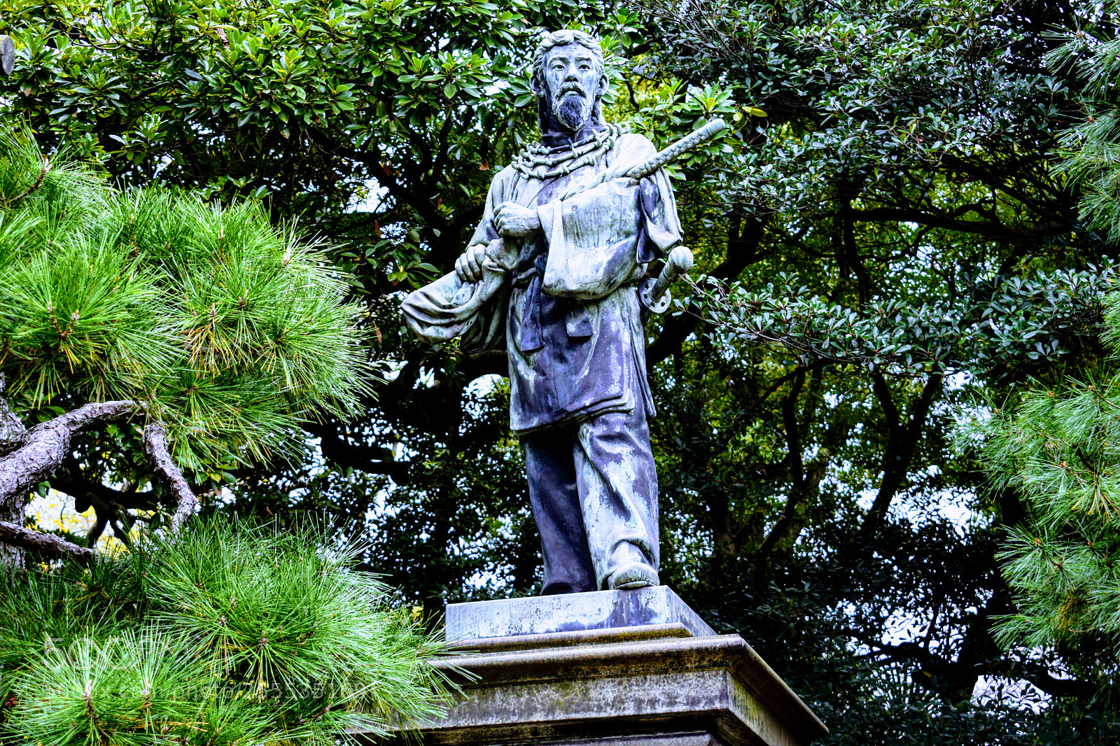 Nikon D3300 sample photo. Dsc photography