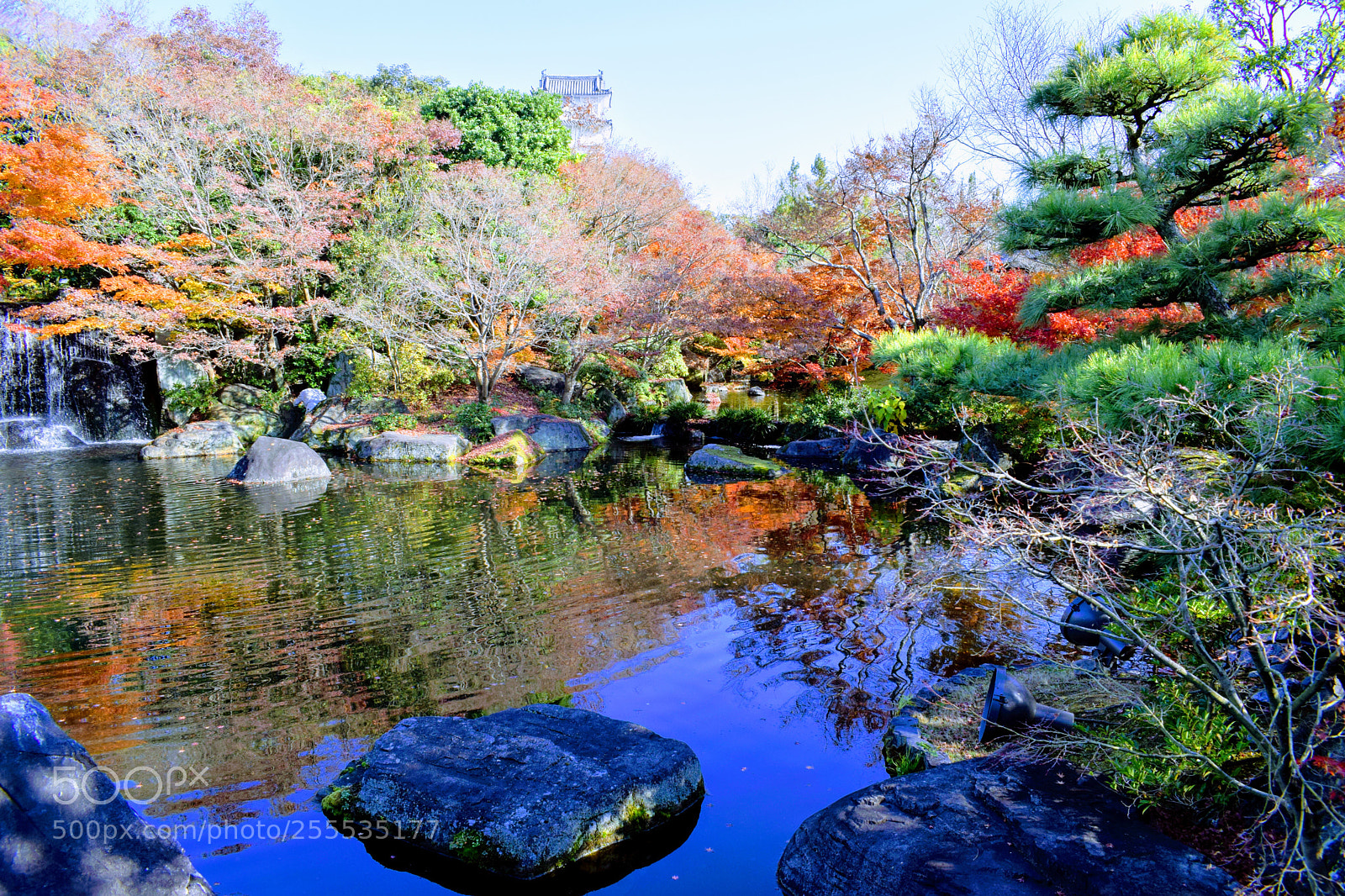 Nikon D3300 sample photo. Dsc photography