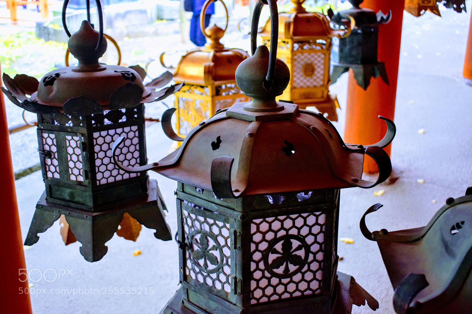 Nikon D3300 sample photo. () photography