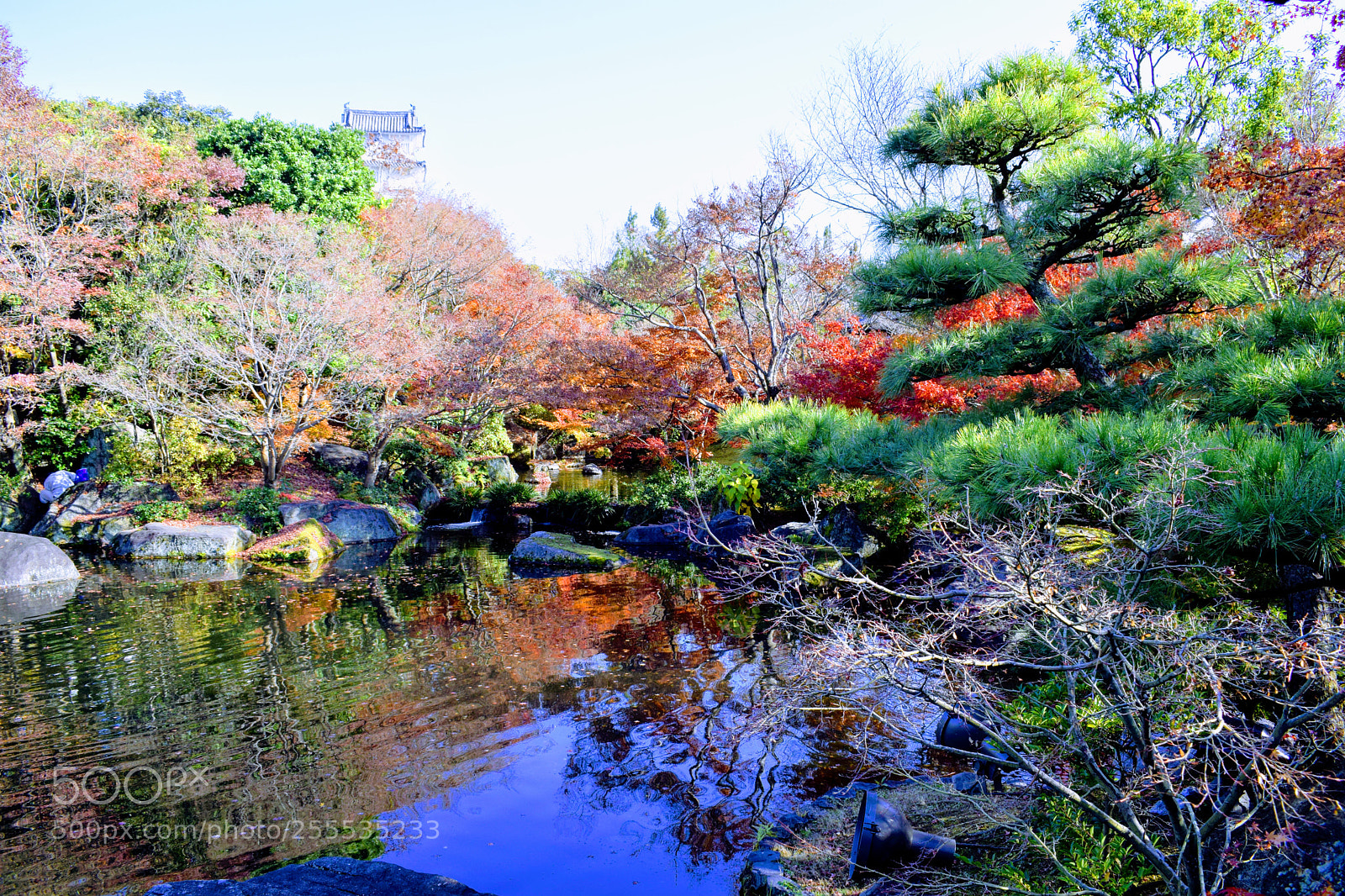 Nikon D3300 sample photo. Dsc photography