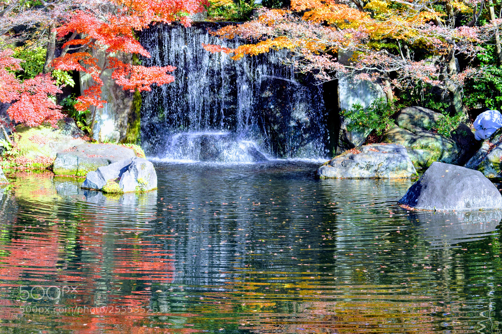 Nikon D3300 sample photo. () photography