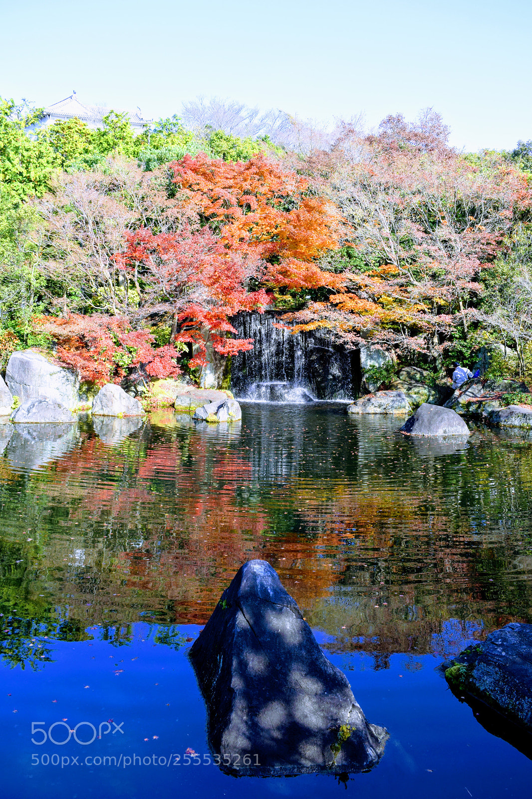 Nikon D3300 sample photo. () photography