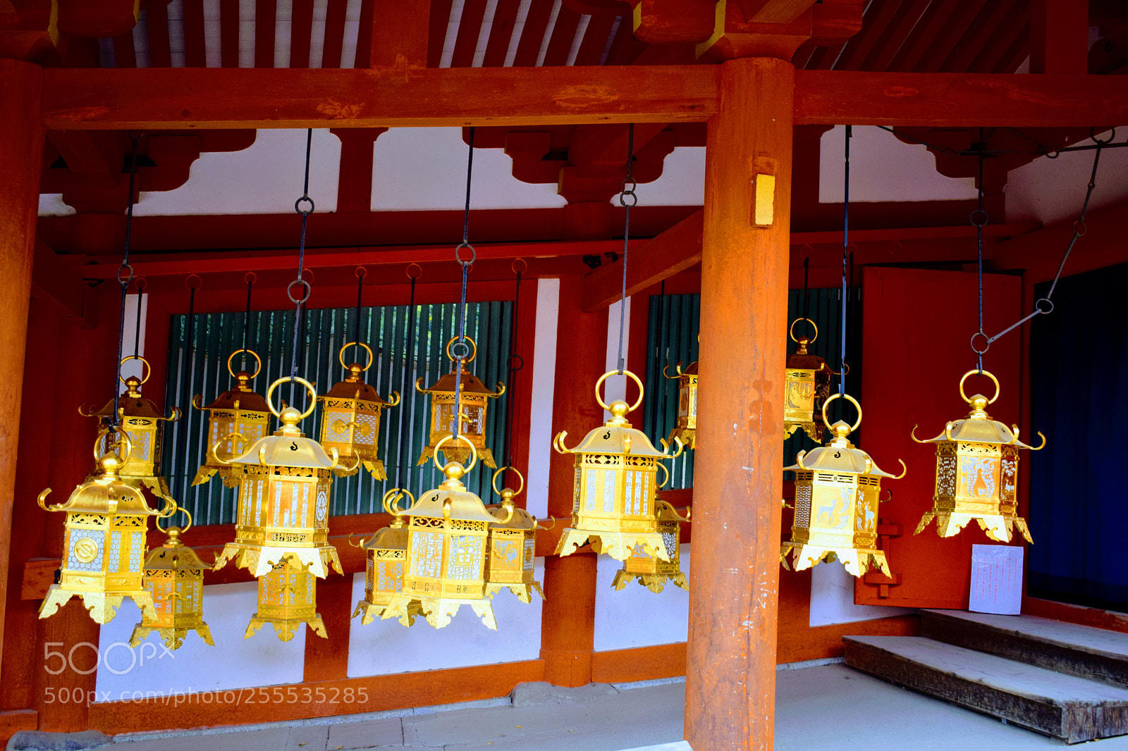 Nikon D3300 sample photo. Dsc photography