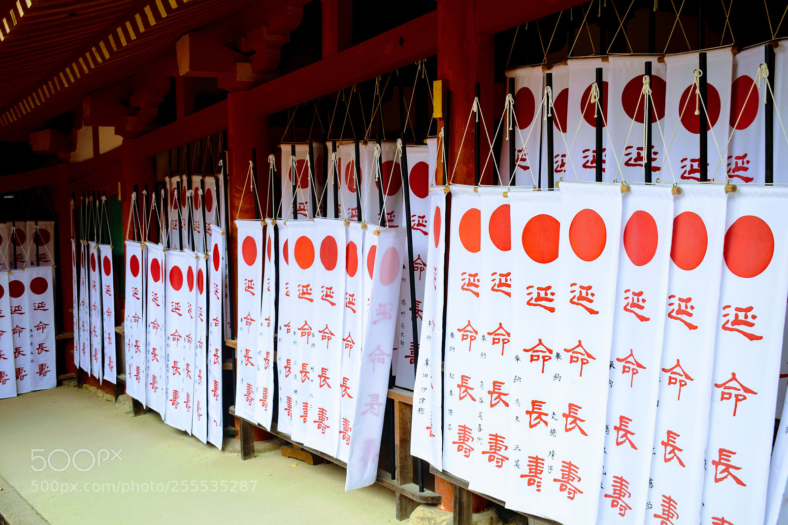Nikon D3300 sample photo. () photography