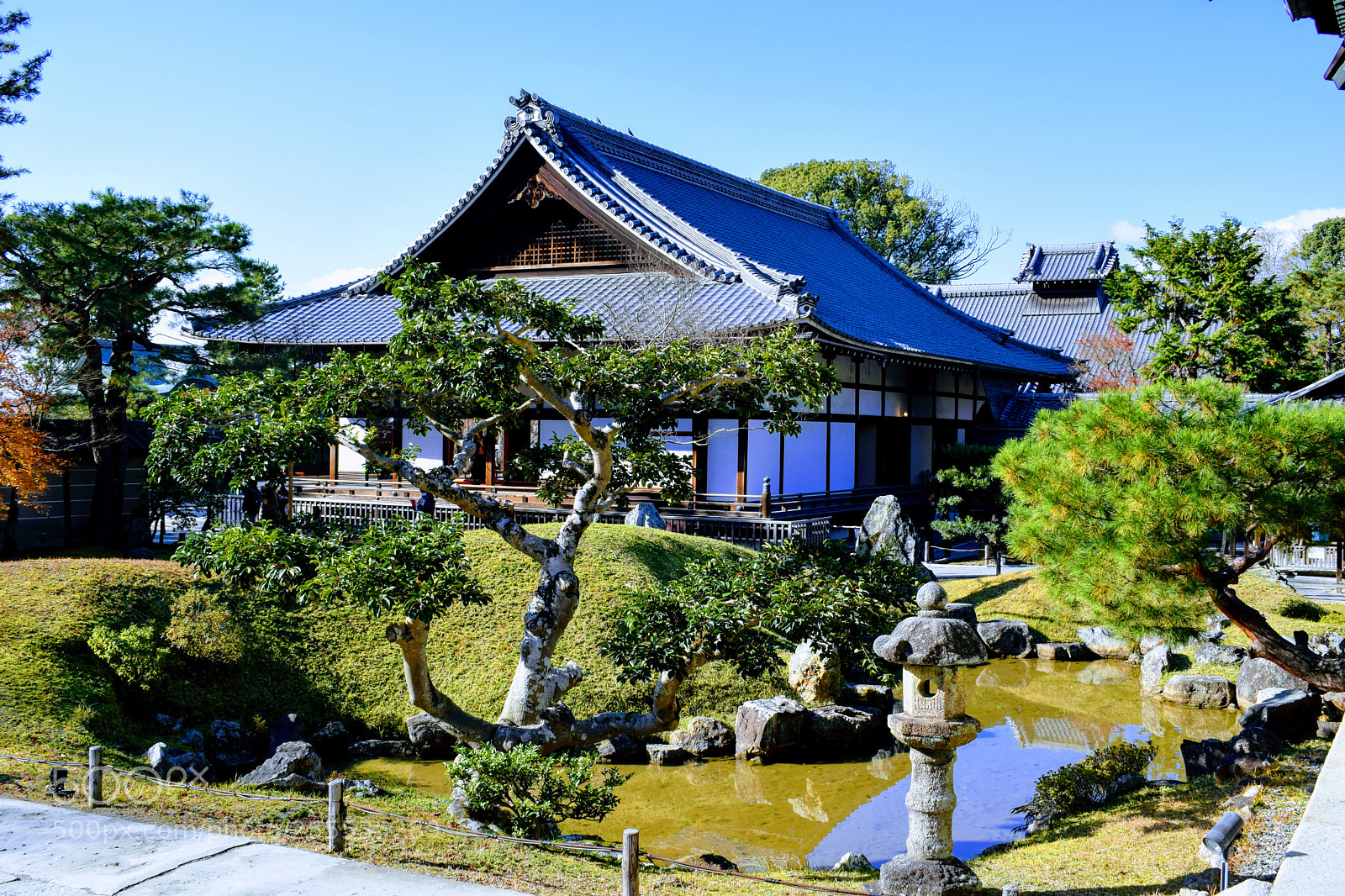 Nikon D3300 sample photo. Dsc photography