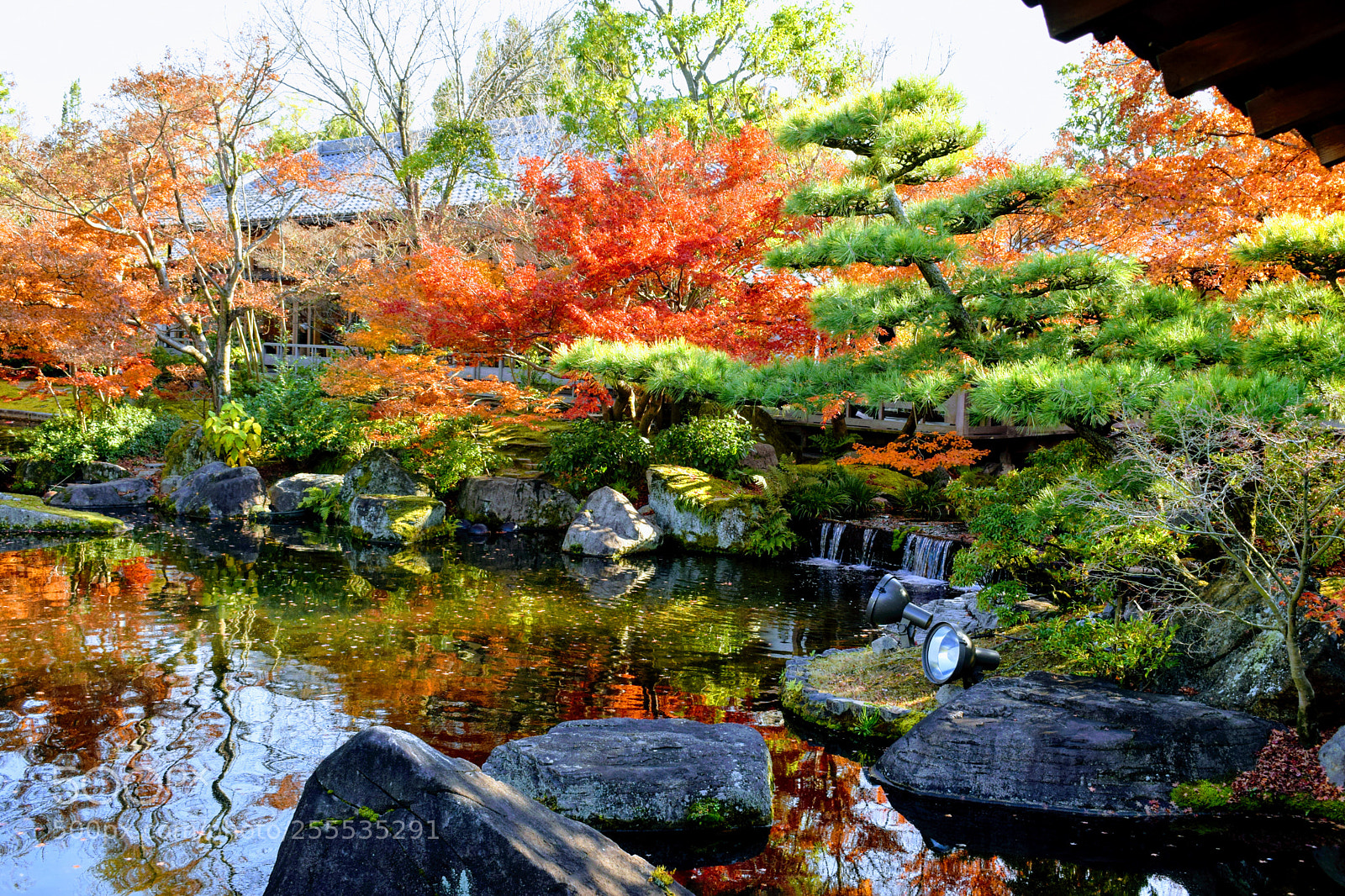Nikon D3300 sample photo. Dsc photography