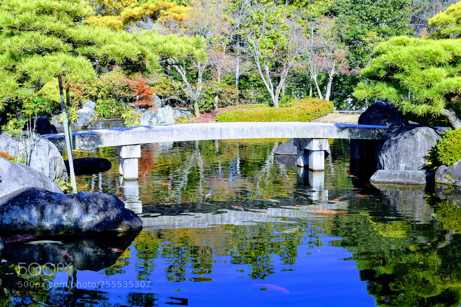 Nikon D3300 sample photo. Dsc photography