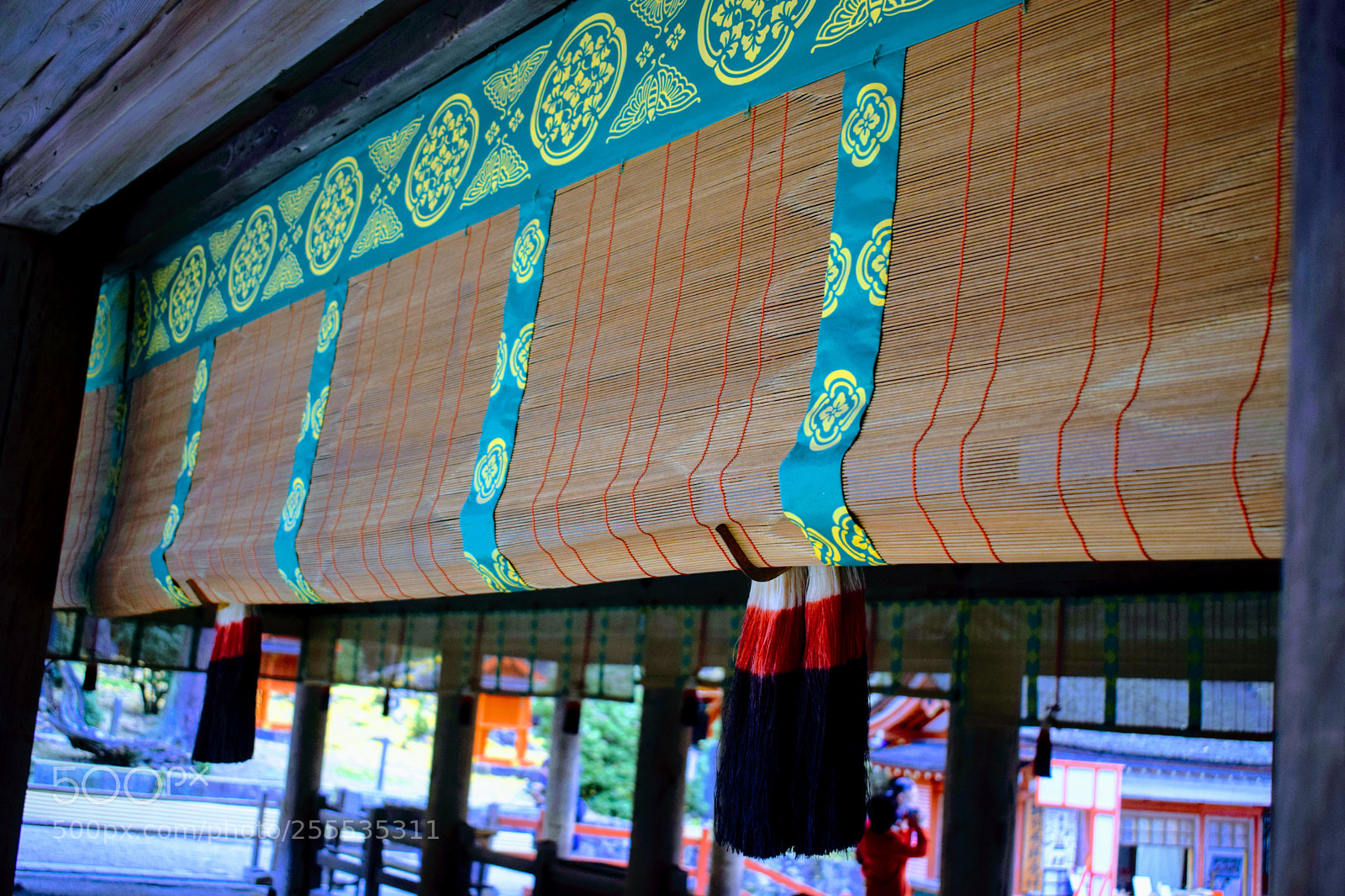 Nikon D3300 sample photo. Dsc photography