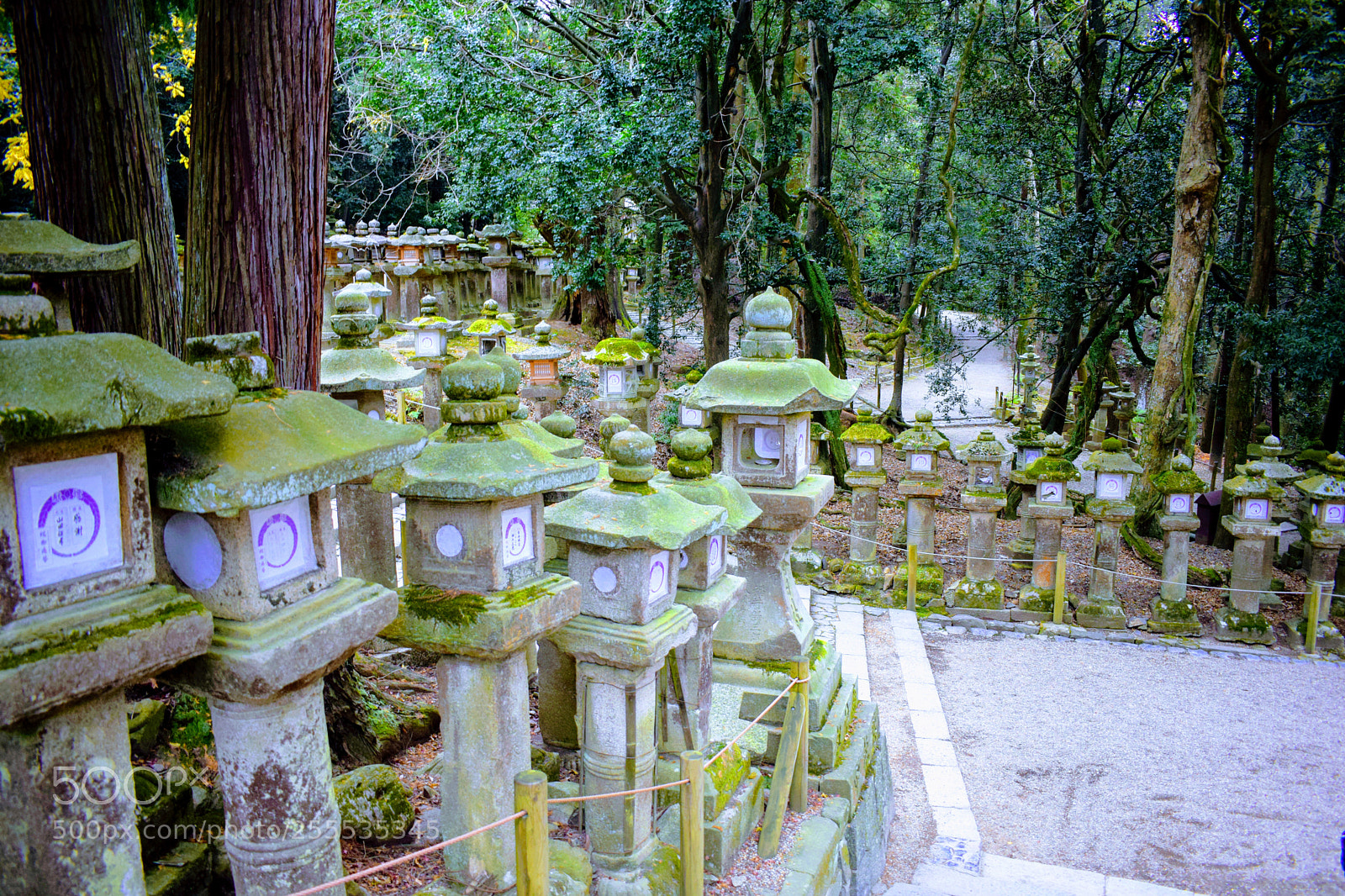 Nikon D3300 sample photo. () photography