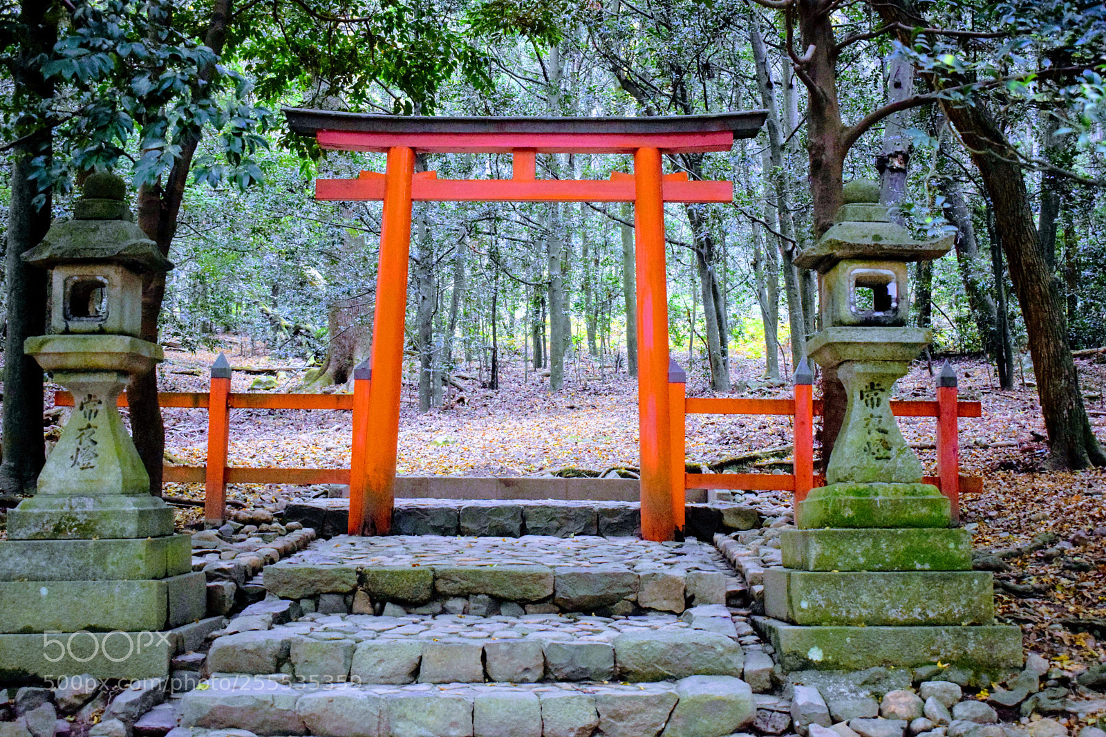 Nikon D3300 sample photo. Dsc photography