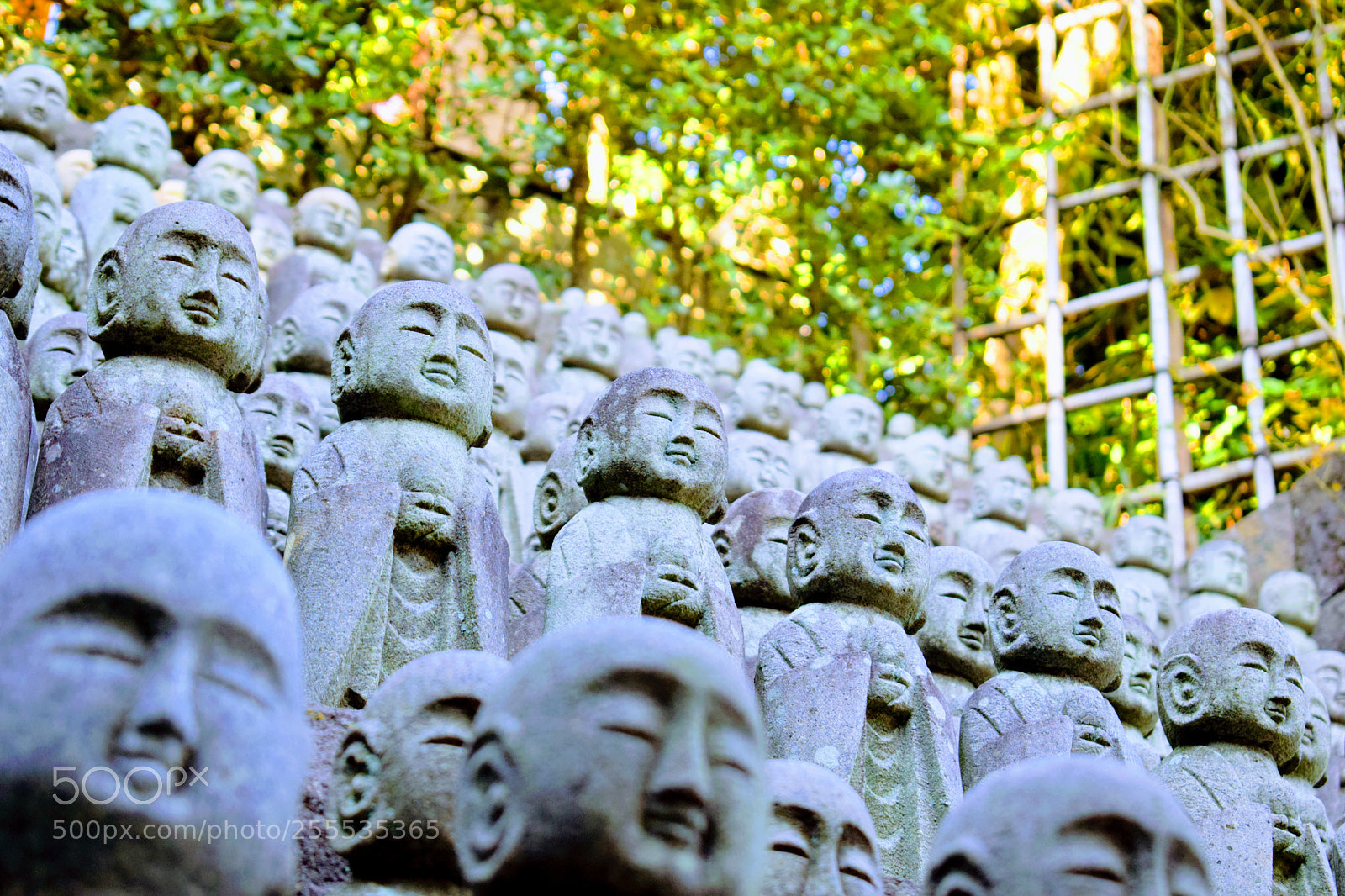 Nikon D3300 sample photo. Japanese statues photography
