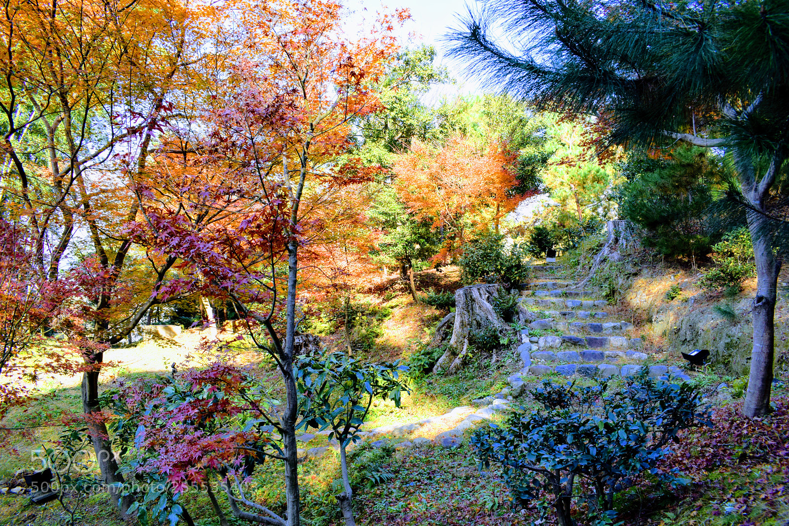 Nikon D3300 sample photo. Dsc photography