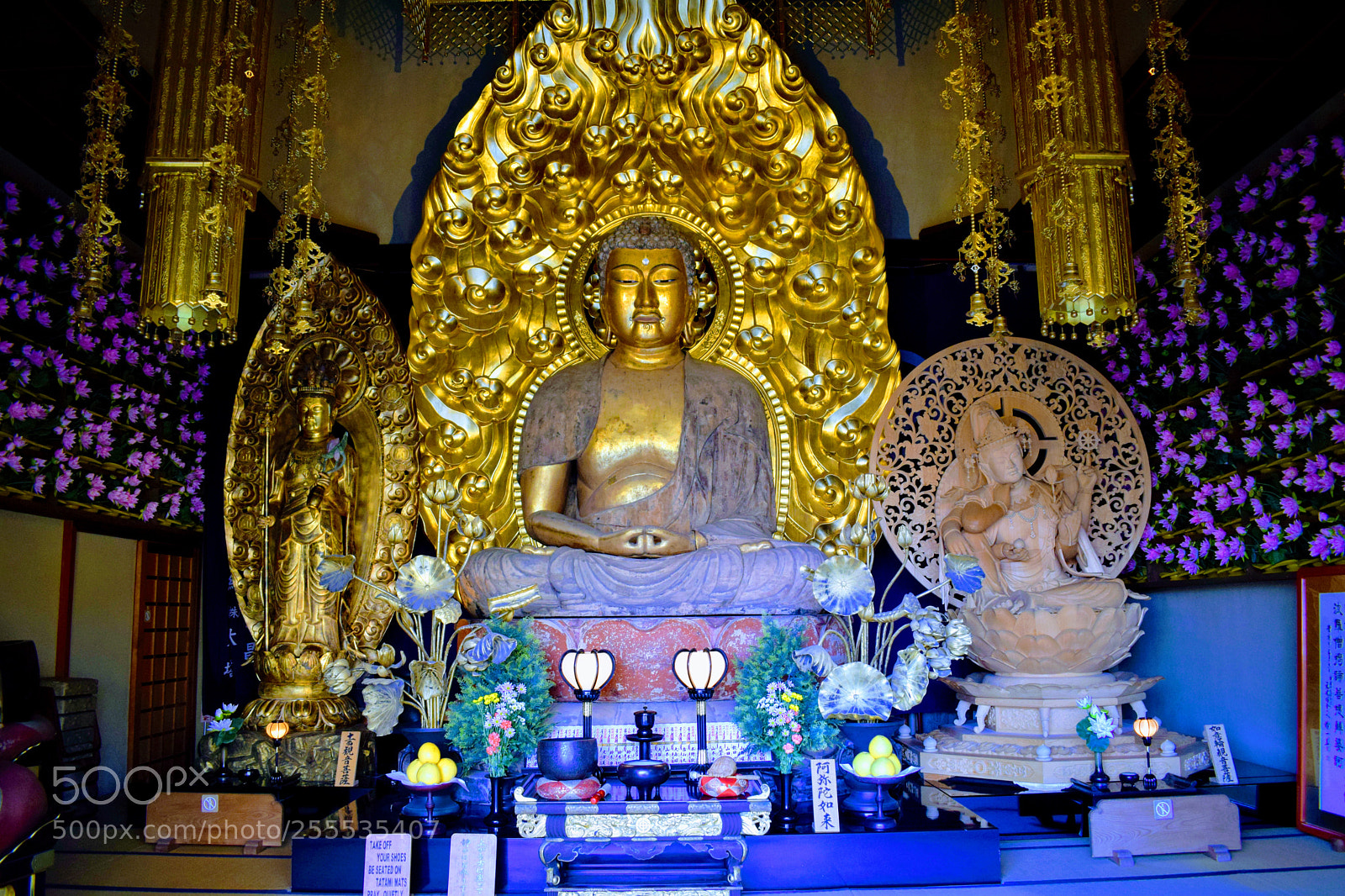 Nikon D3300 sample photo. Dsc photography