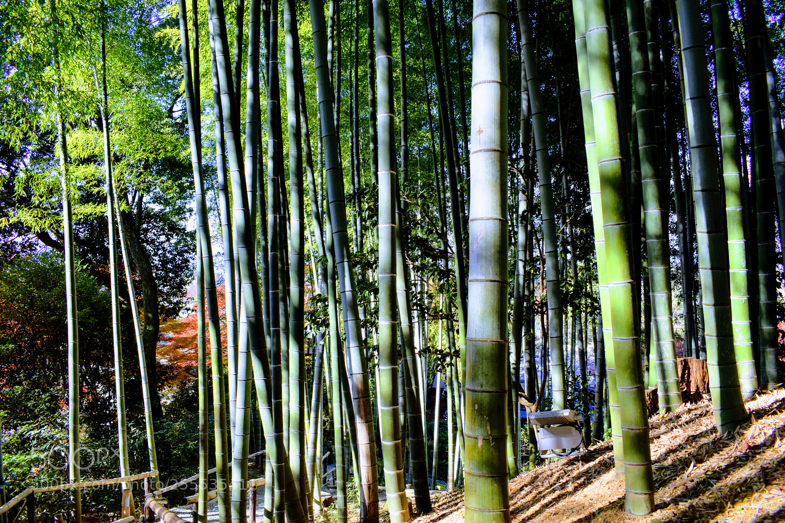 Nikon D3300 sample photo. Dsc photography
