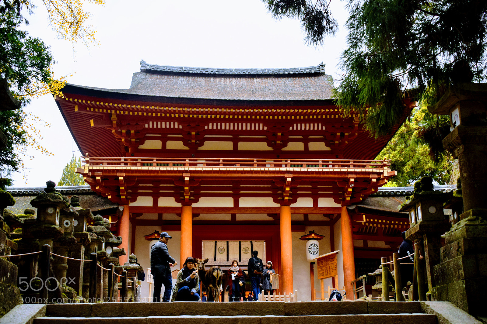 Nikon D3300 sample photo. () photography