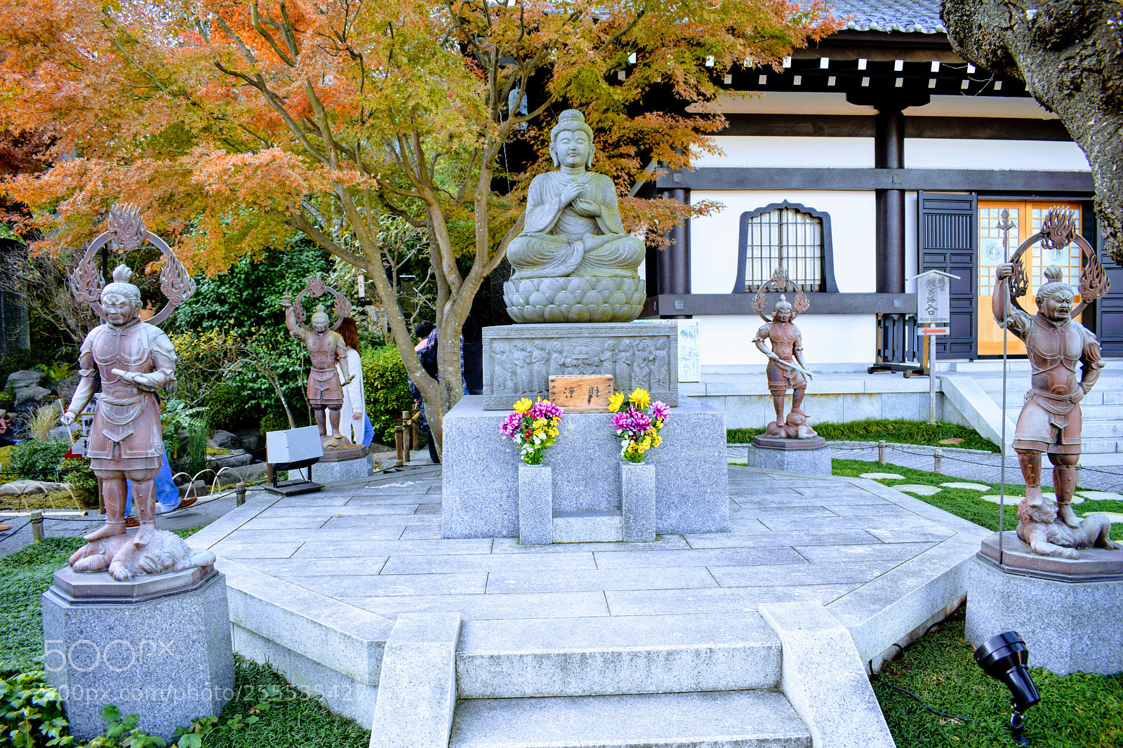 Nikon D3300 sample photo. Dsc photography