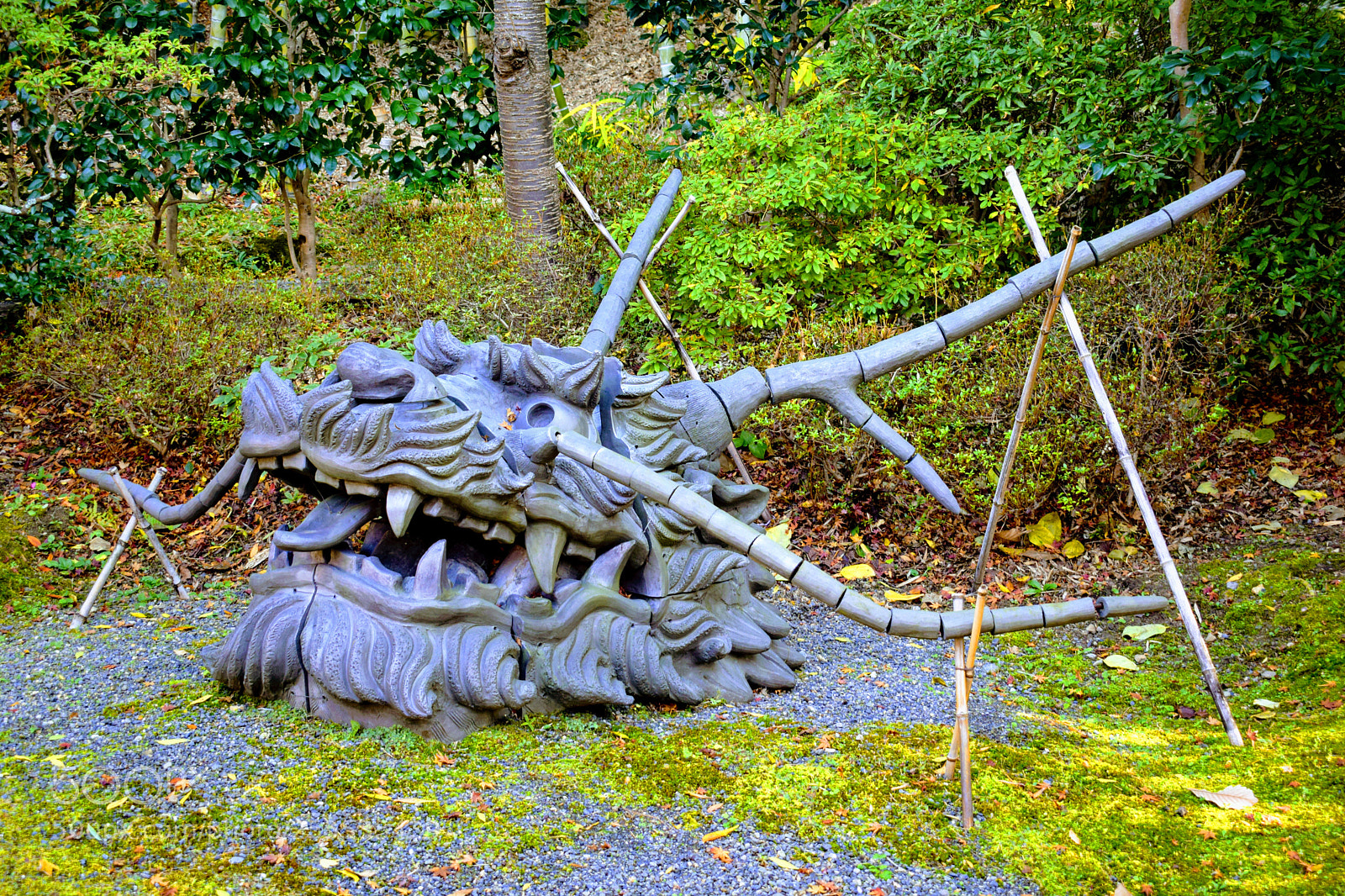 Nikon D3300 sample photo. Dsc photography