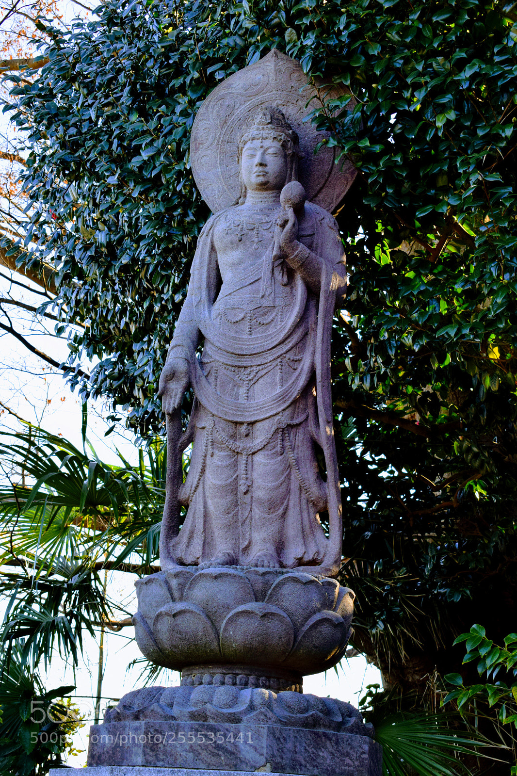 Nikon D3300 sample photo. Dsc photography