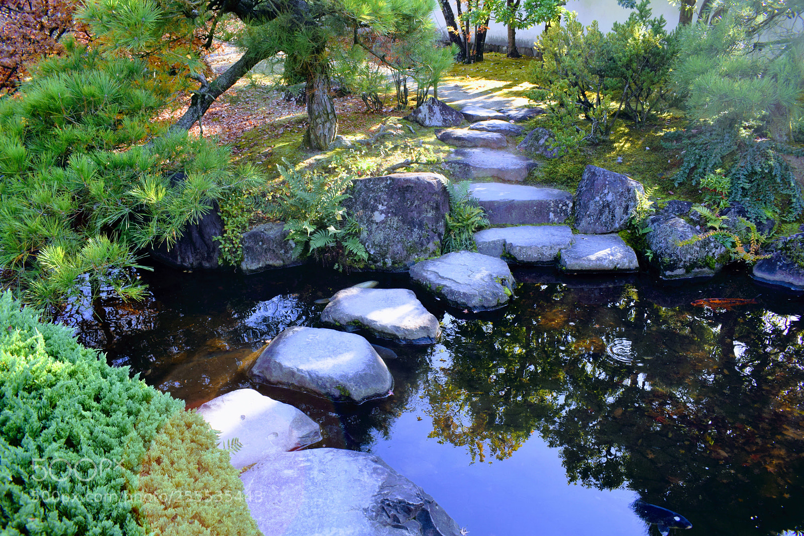 Nikon D3300 sample photo. () photography
