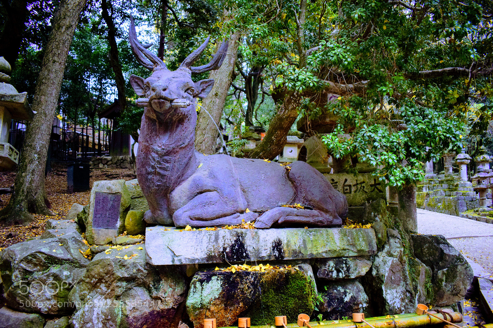 Nikon D3300 sample photo. () photography