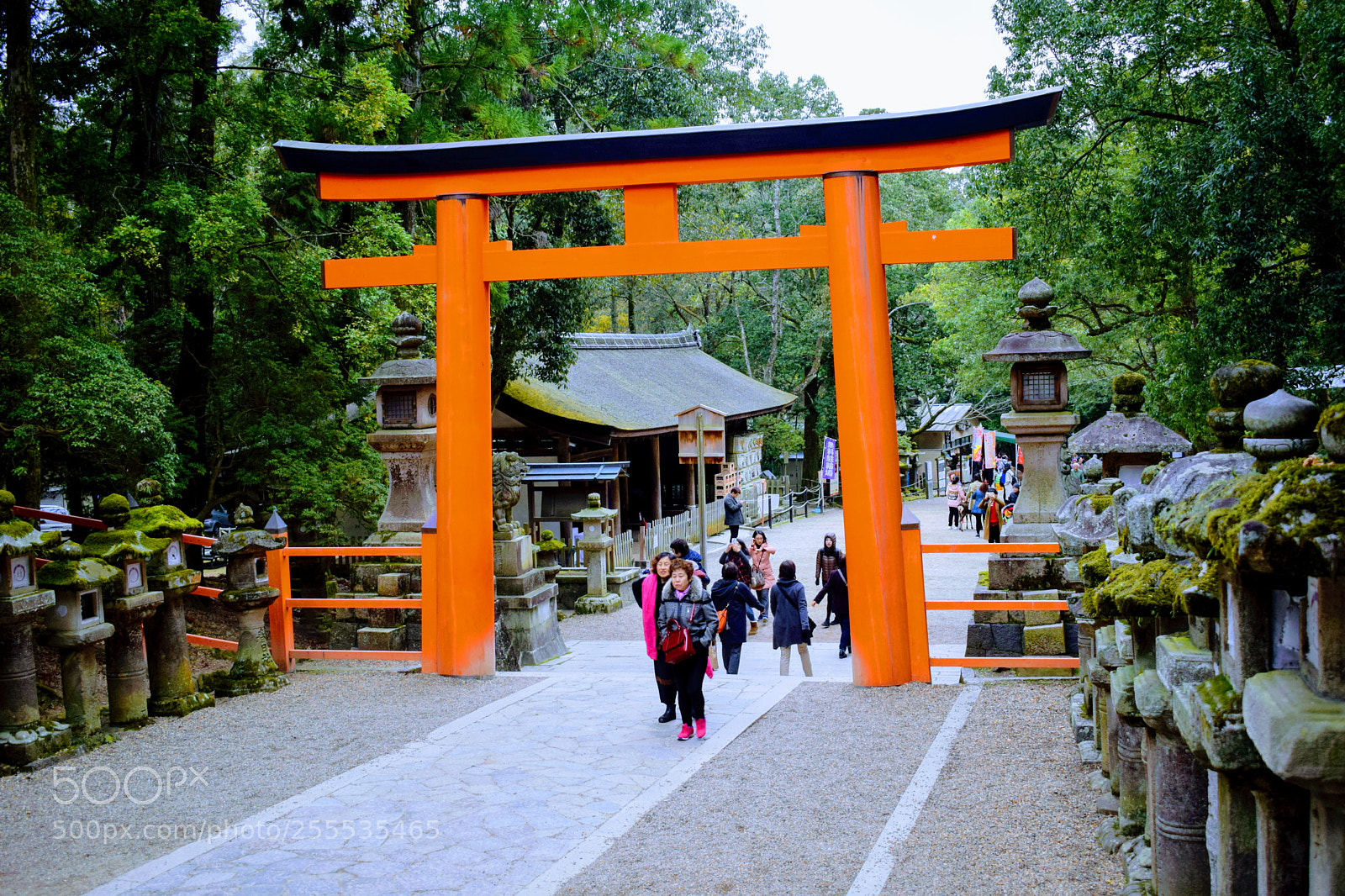Nikon D3300 sample photo. () photography