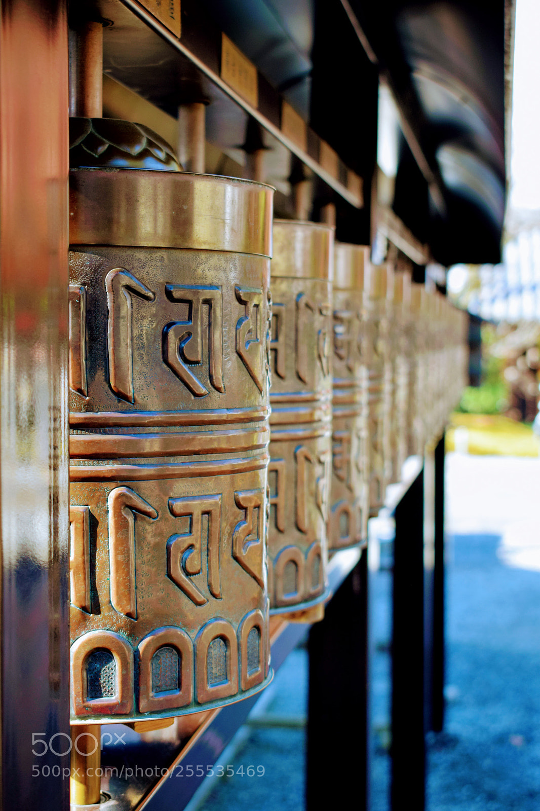 Nikon D3300 sample photo. Dsc photography