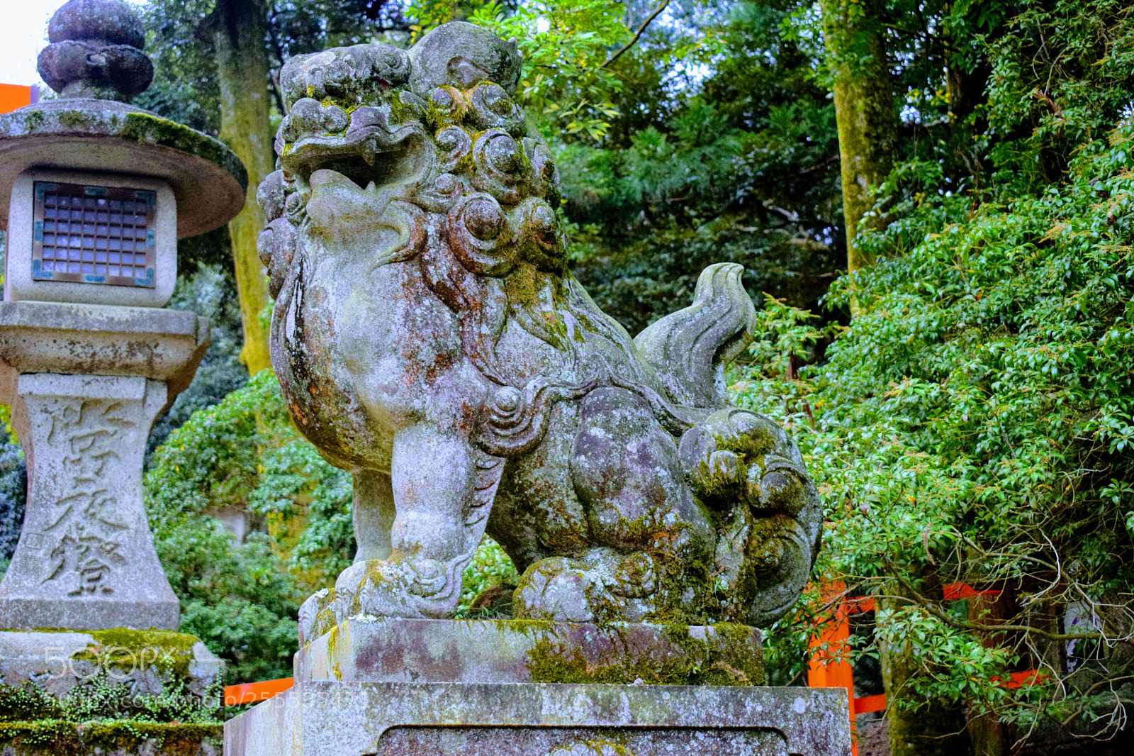Nikon D3300 sample photo. Dsc photography
