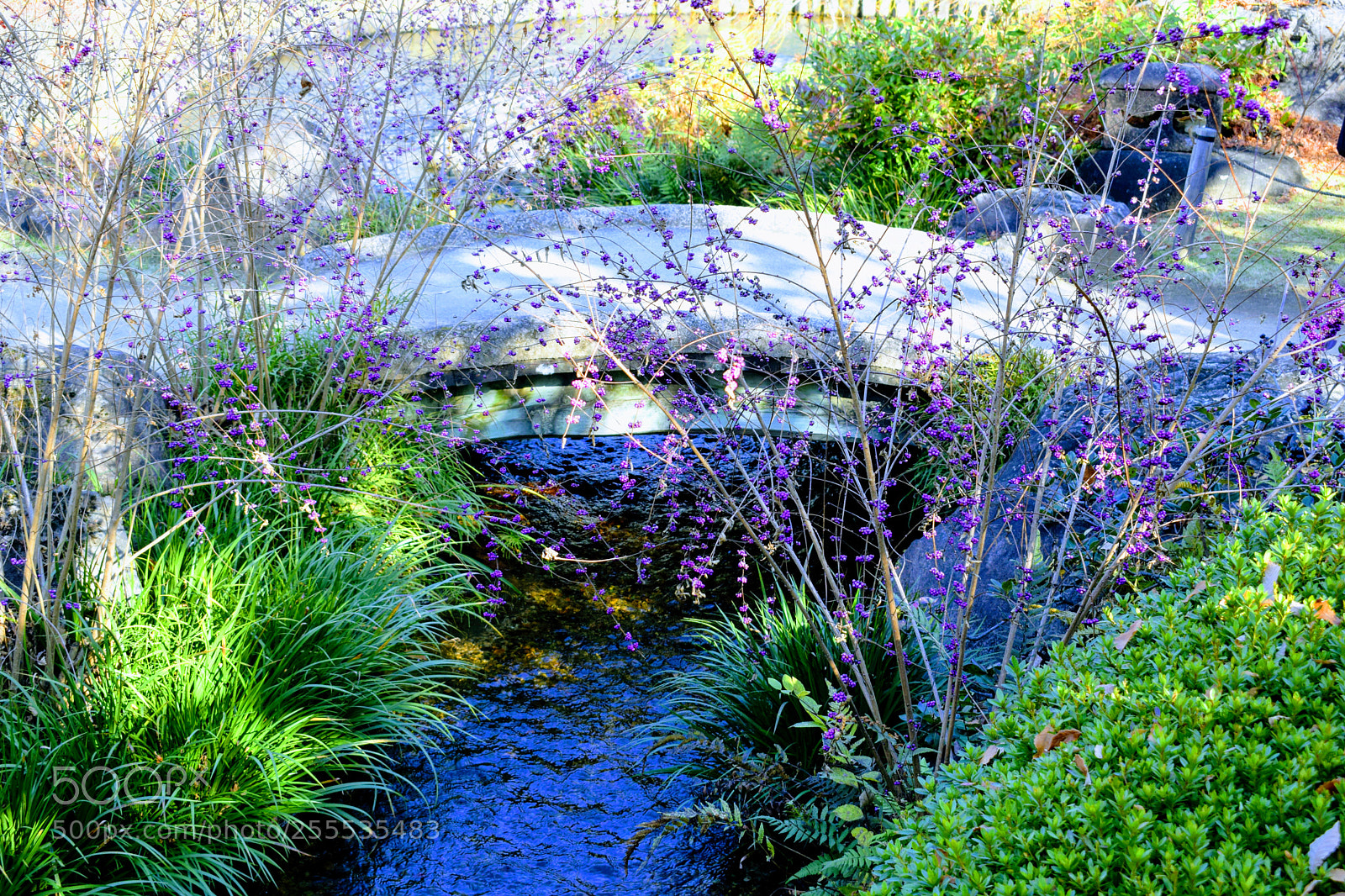 Nikon D3300 sample photo. Dsc photography