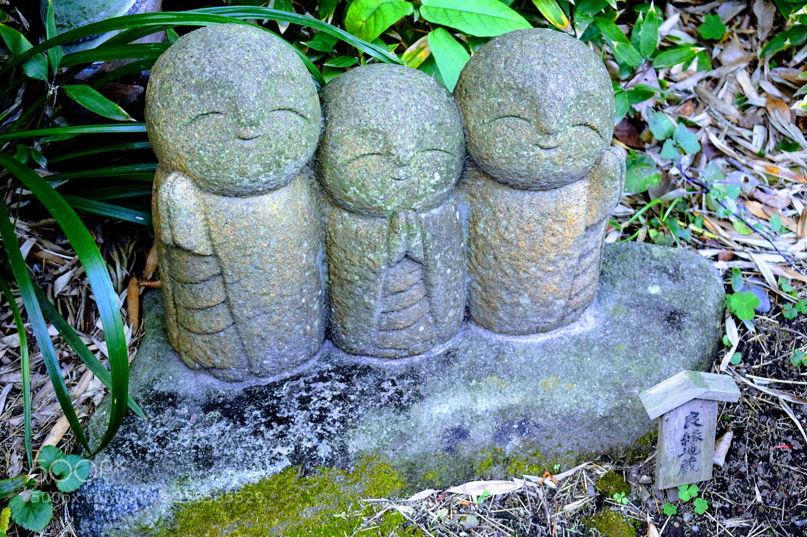 Nikon D3300 sample photo. Dsc photography