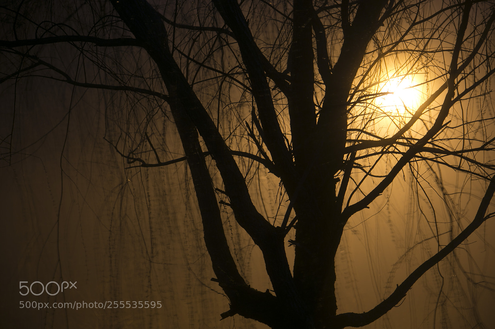 Canon EOS 6D sample photo. 008.jpg photography