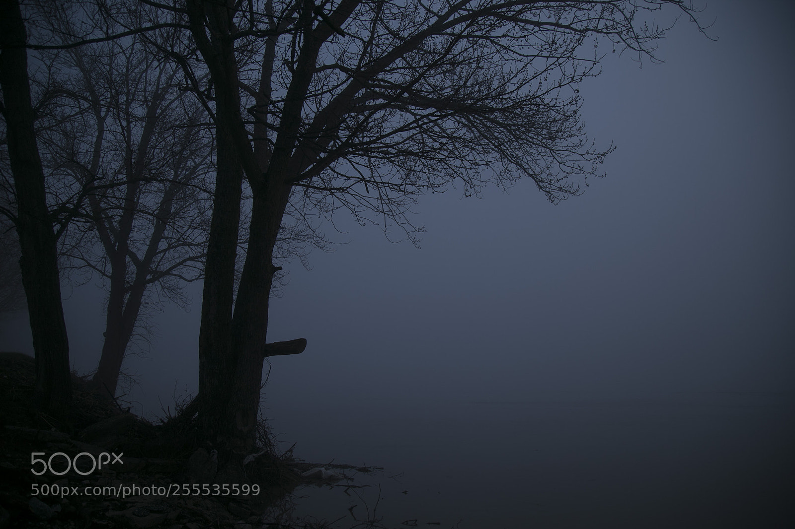 Canon EOS 6D sample photo. 017.jpg photography