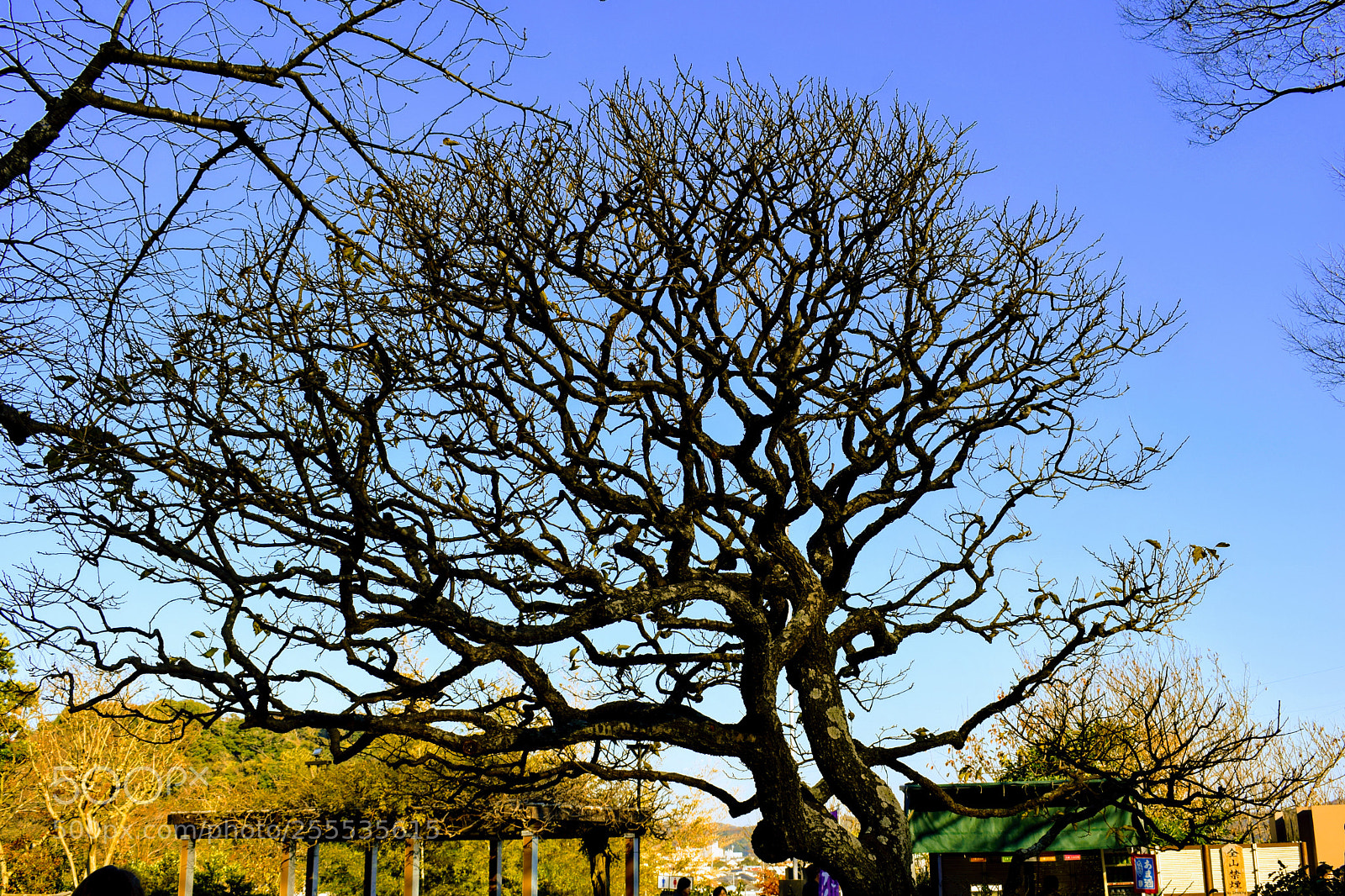 Nikon D3300 sample photo. Dsc photography